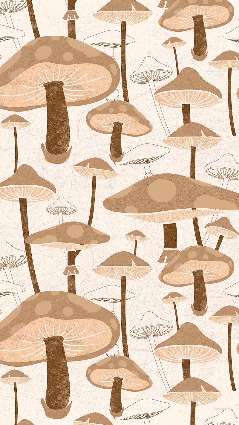 Mushroom Background Image Wallpaper