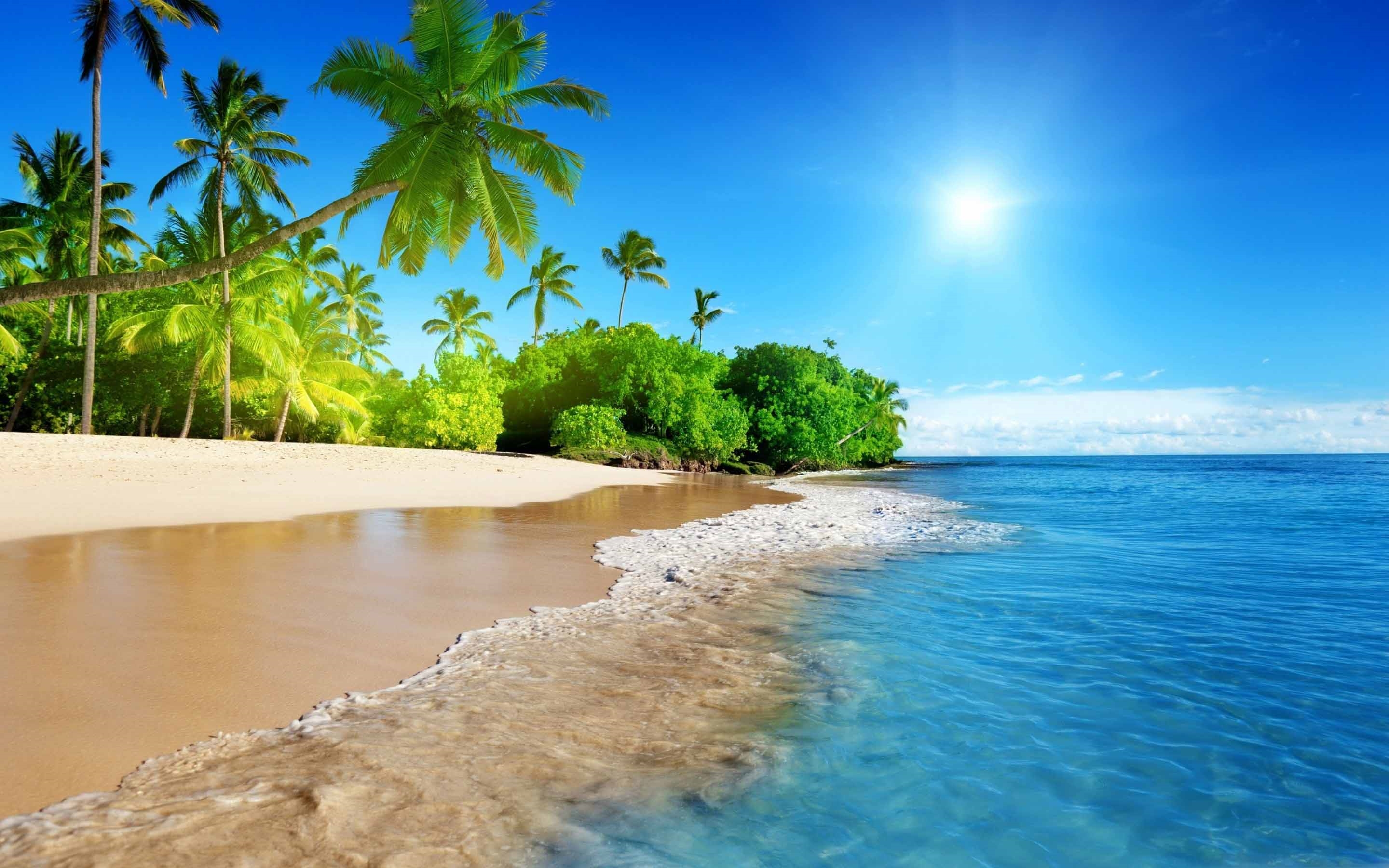 Beach Tropical Island Mac Wallpaper Download