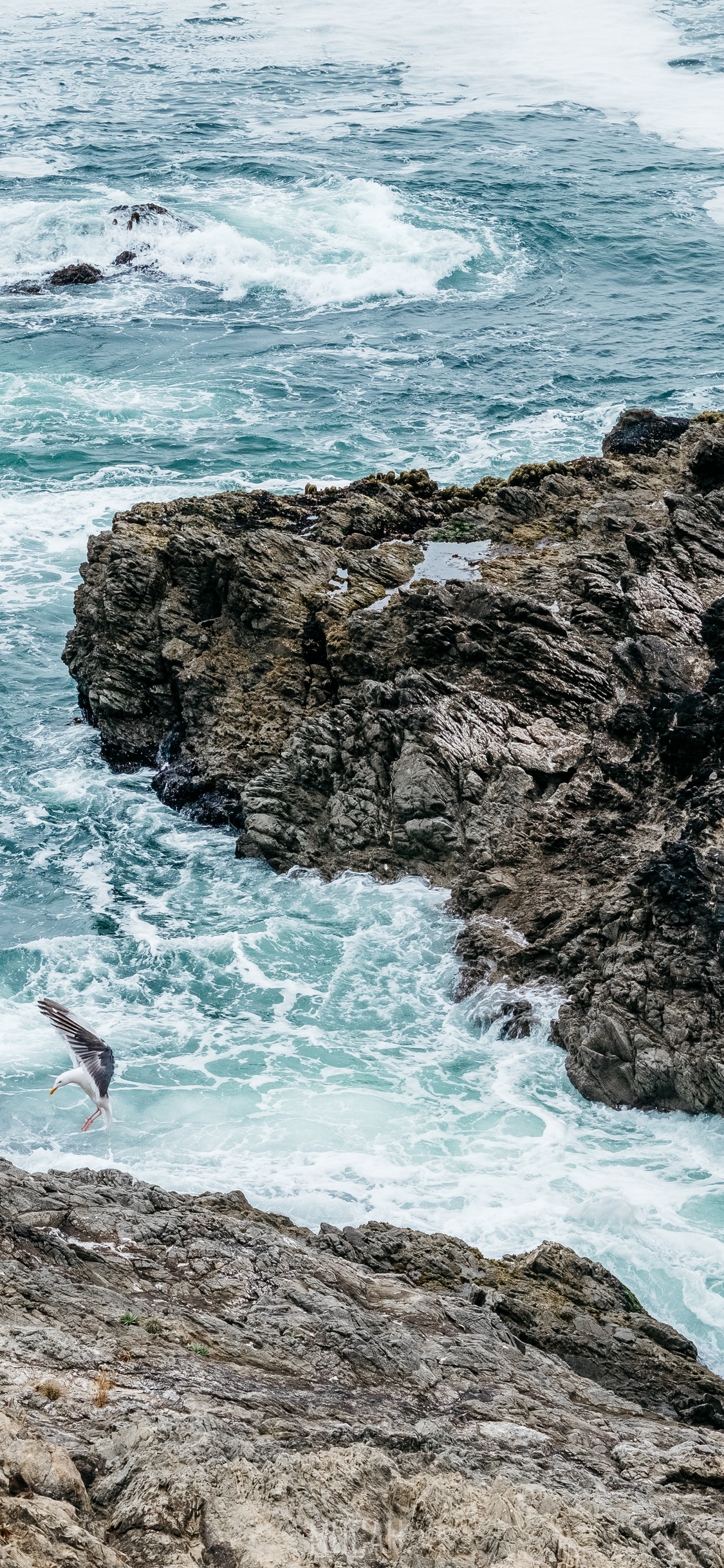 Coastal and Oceanic Landforms, Headland, Tourism, Ocean, Beach, Apple iPhone 11 Pro background hd, 1125x2436 Gallery HD Wallpaper