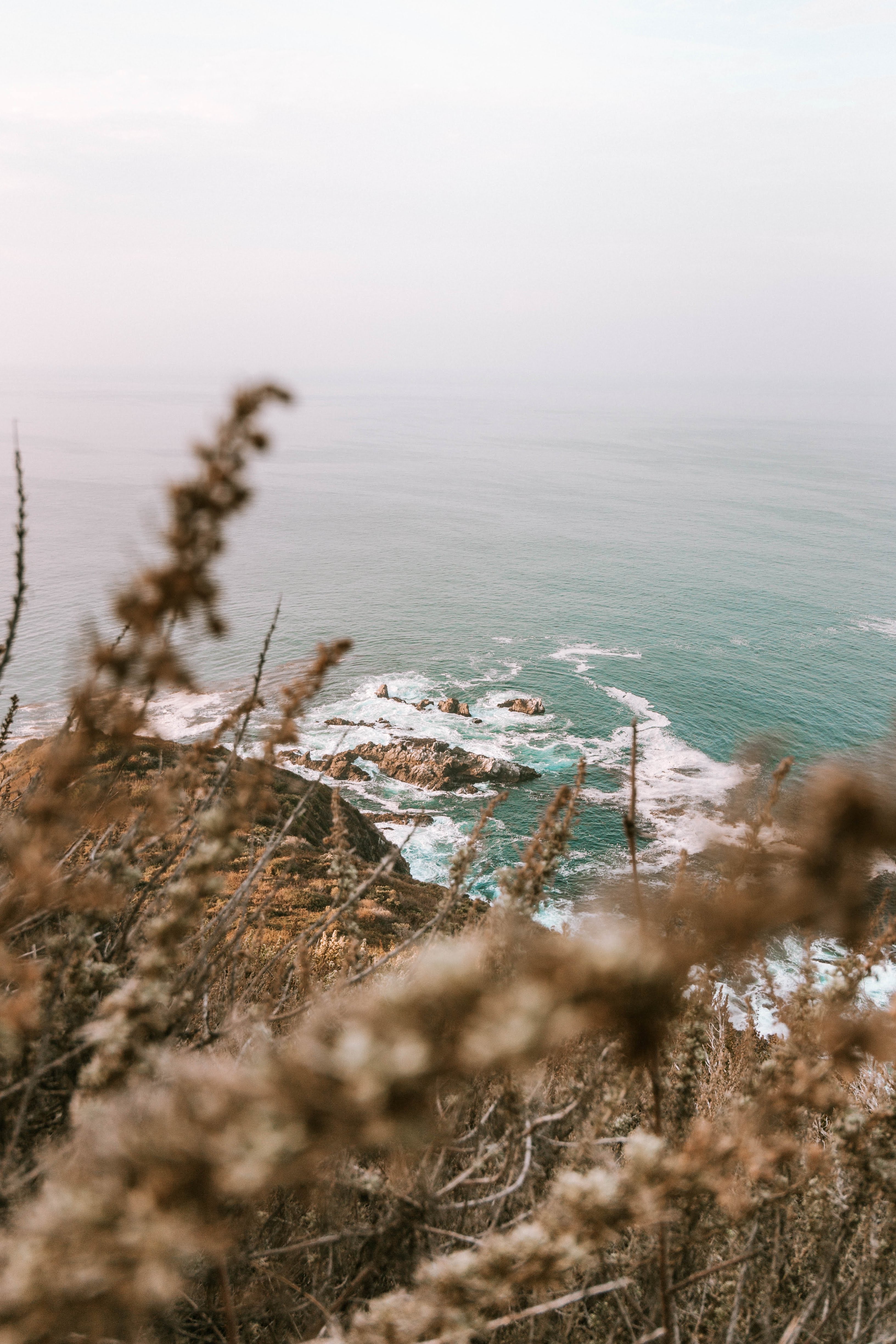 Wallpaper Ocean, Coast, Body of Water, Tree, Beach, Background Free Image