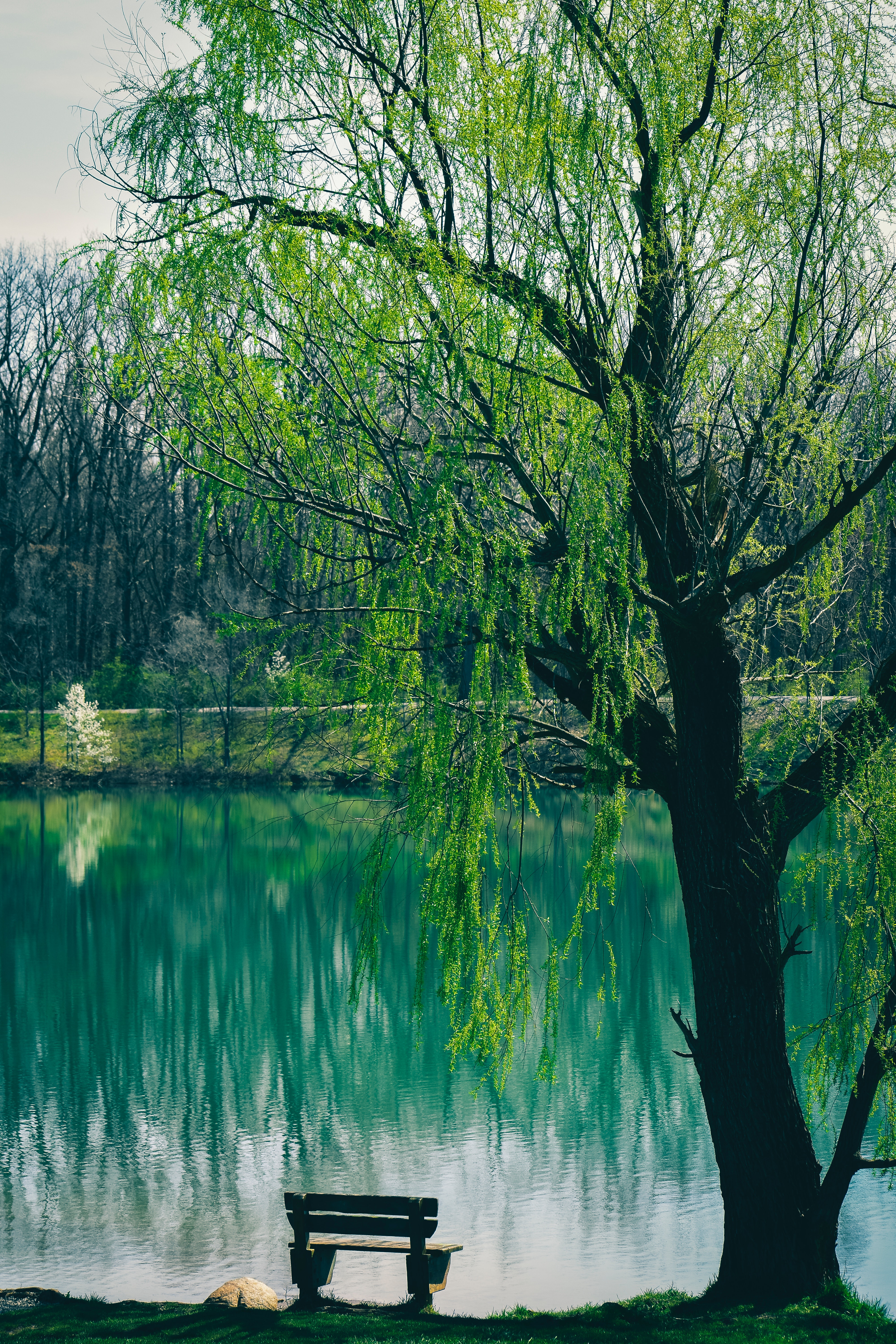 Beautiful Place Photo, Download The BEST Free Beautiful Place & HD Image