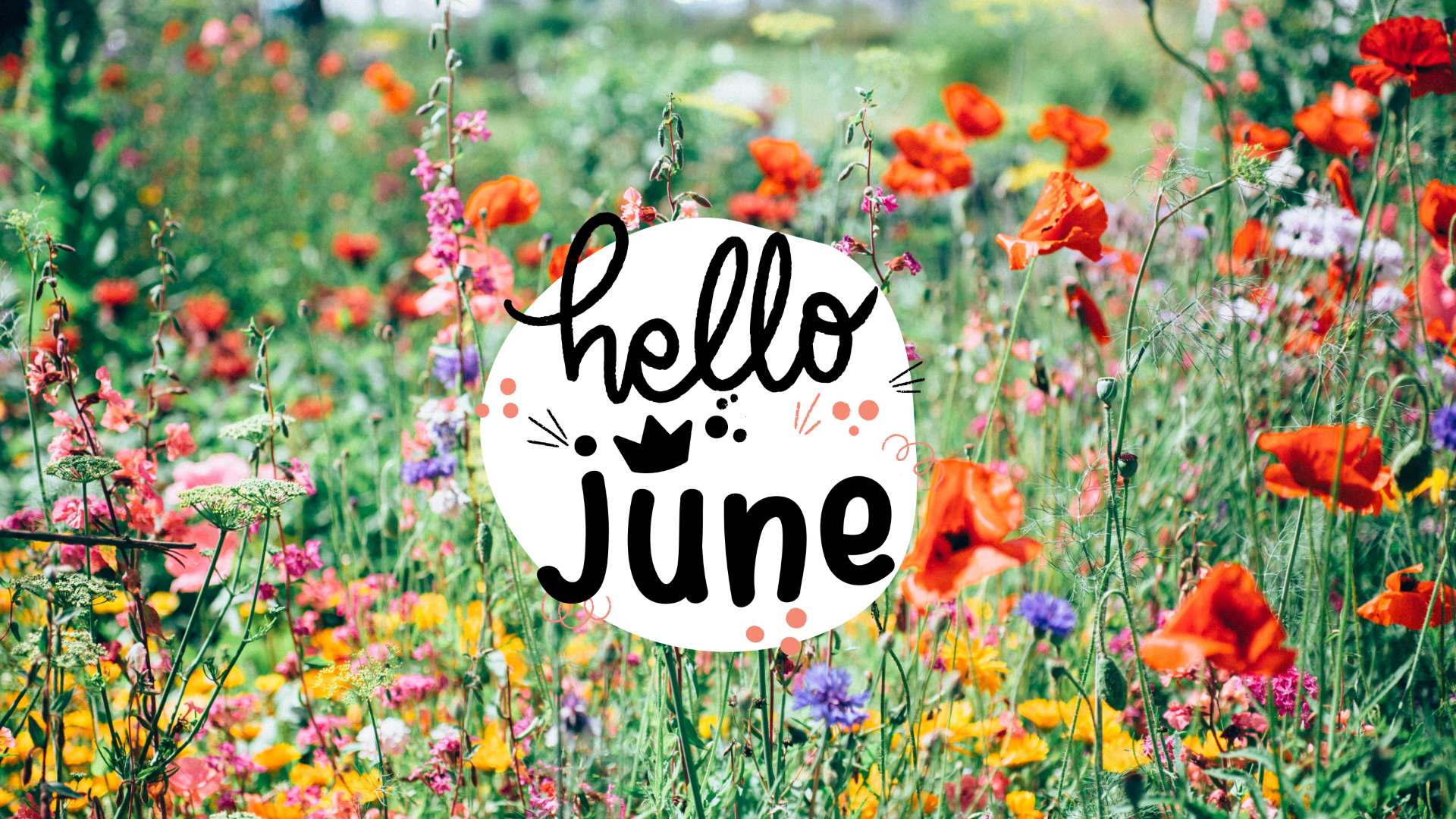 Hello June Beautiful Wallpaper & Ideas For June Vibes