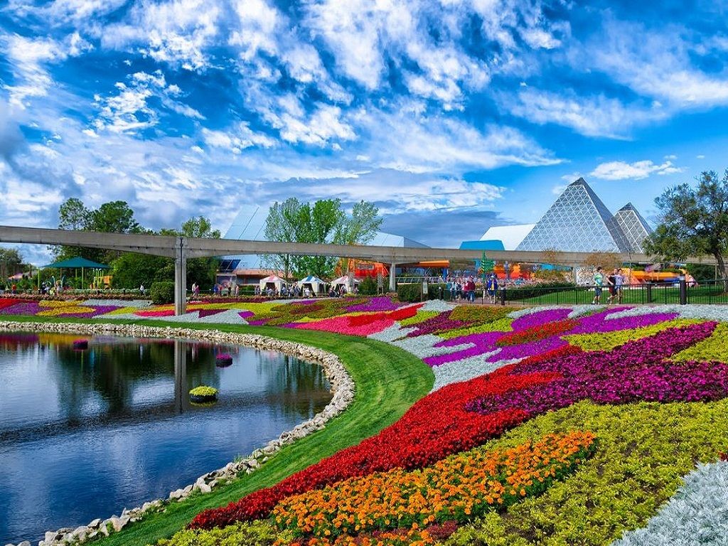 most beautiful free wallpaper. Most Beautiful Colorful Birds Related Keywords & Suggestions. Beautiful places to visit, Most beautiful places, Beautiful places