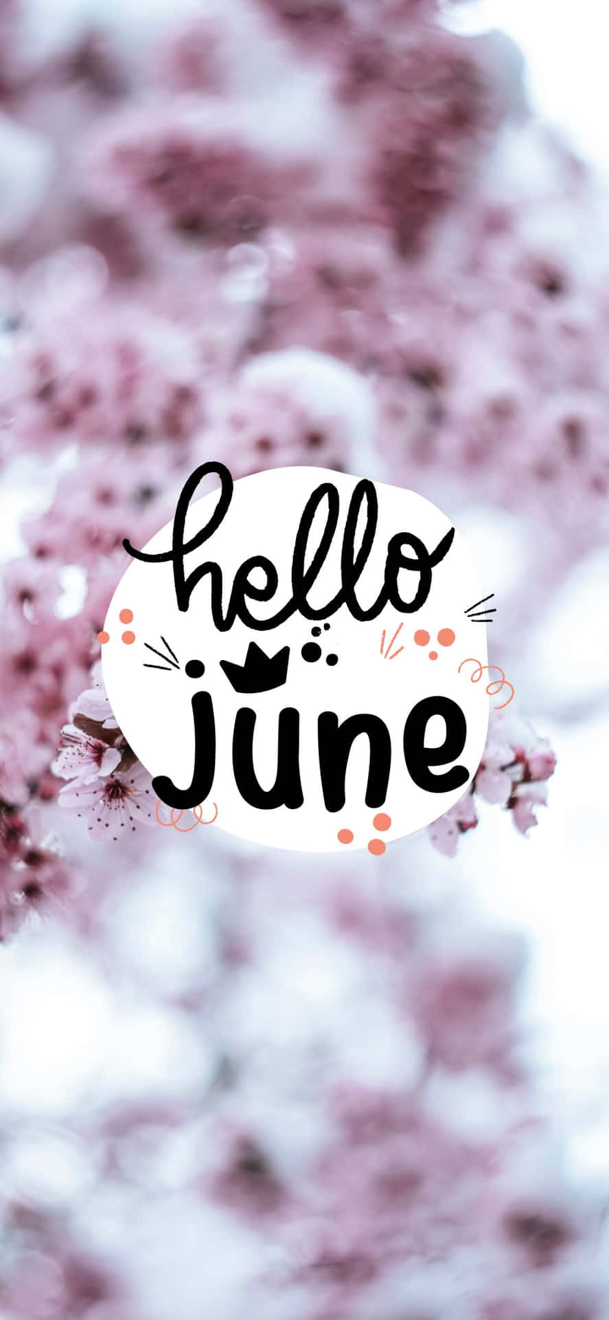 Download hello june wallpaper Wallpaper