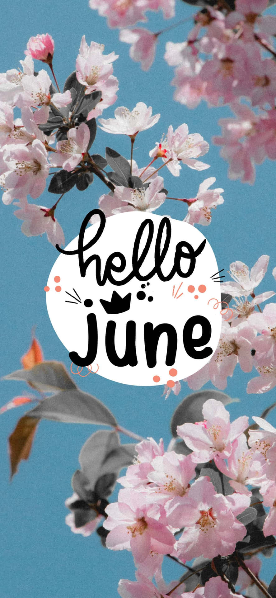 Download hello june pink flower with the words hello june Wallpaper