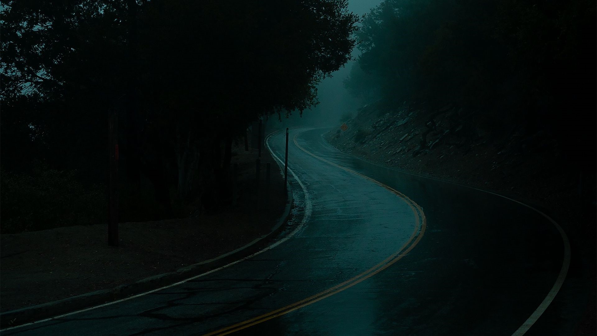road, rain, mist, dark, night, nature Gallery HD Wallpaper
