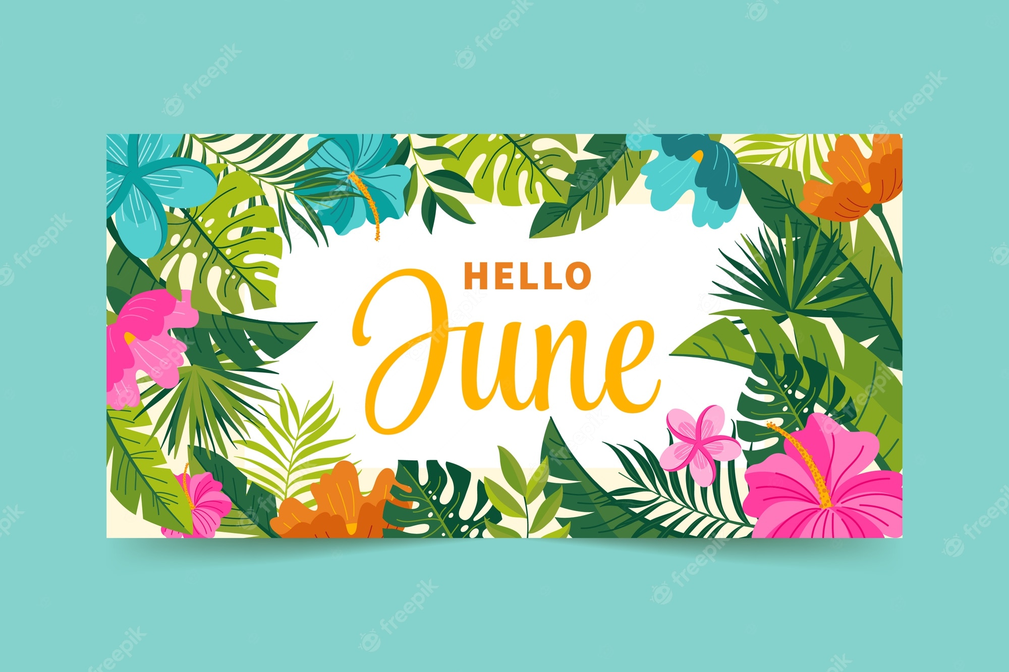 Hello June Image