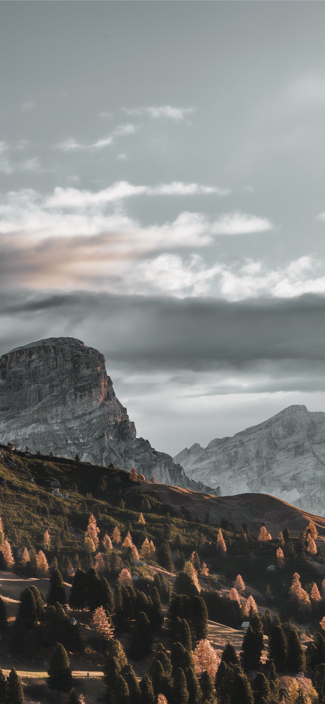 Best Grey iPhone X HD Wallpaper