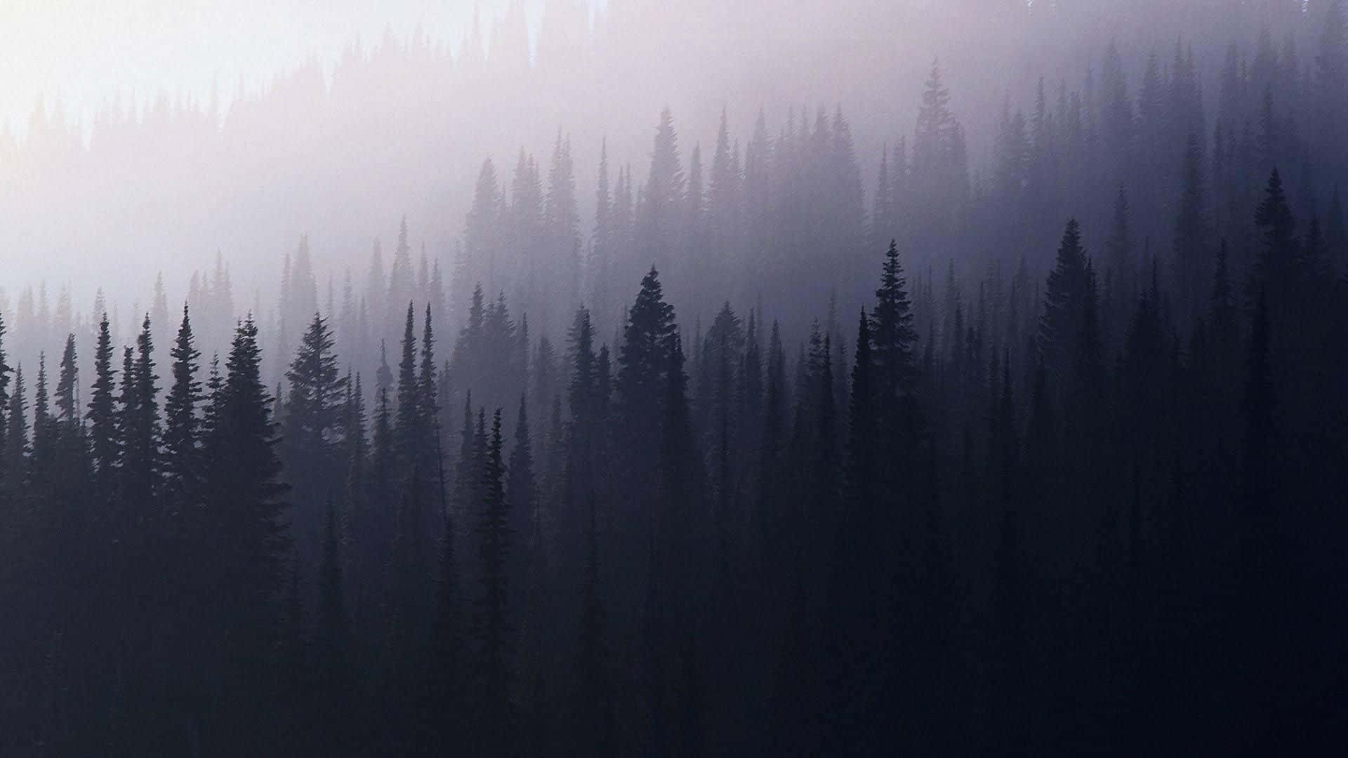 Grey Nature Wallpapers Wallpaper Cave