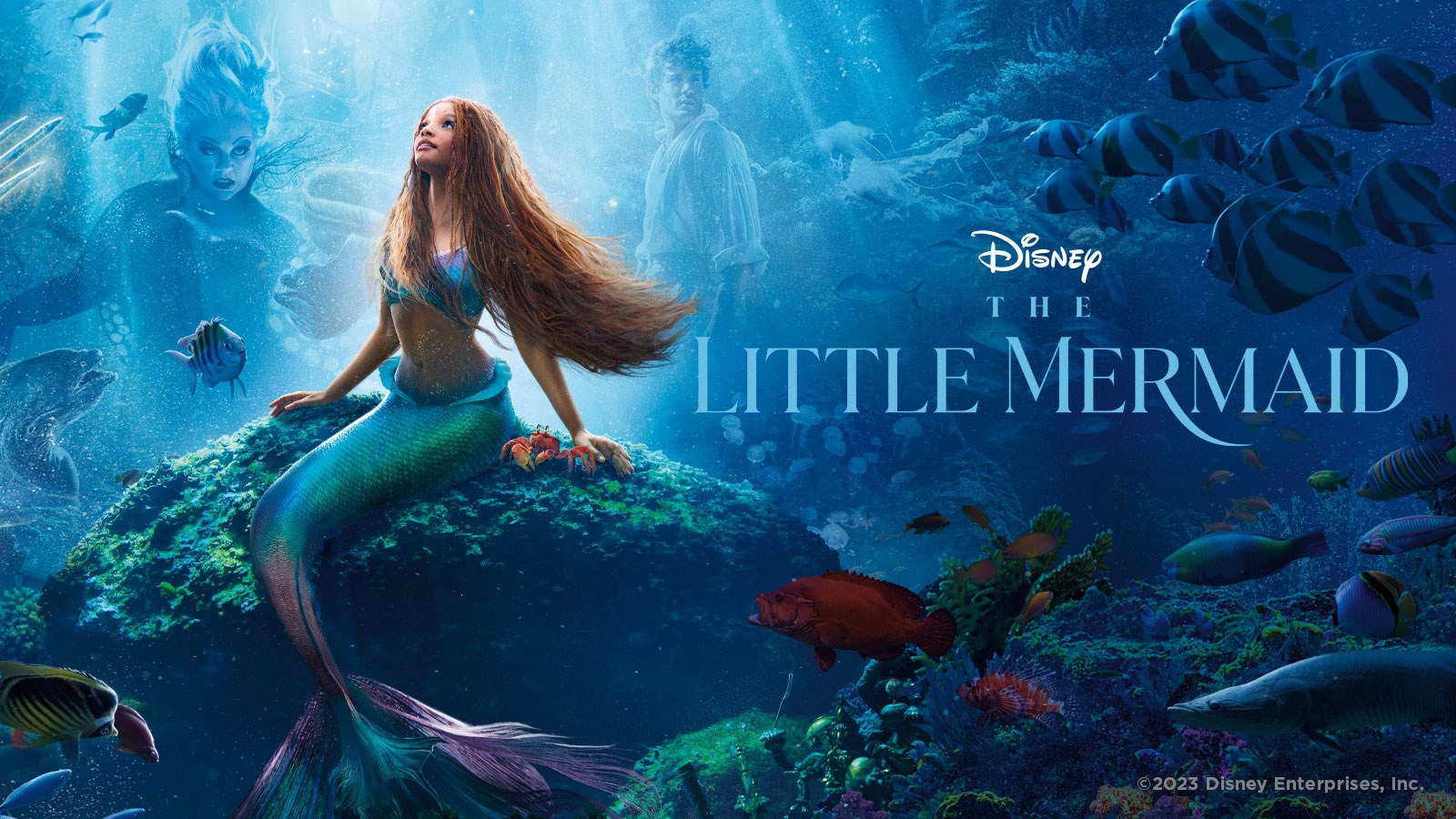 The Little Mermaid Movie 2023 Wallpapers - Wallpaper Cave