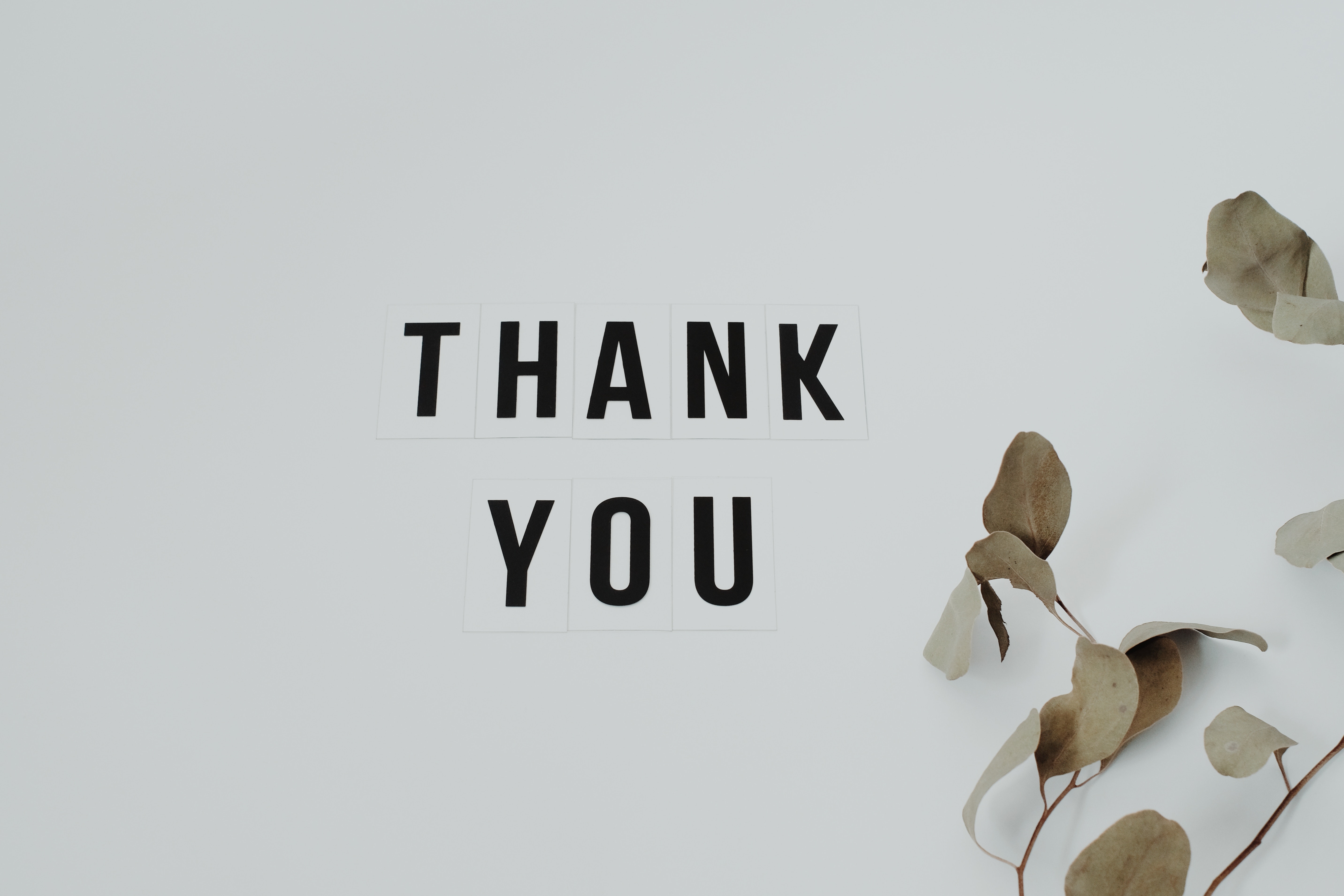 Best Thank You Image · 100% Free Downloads