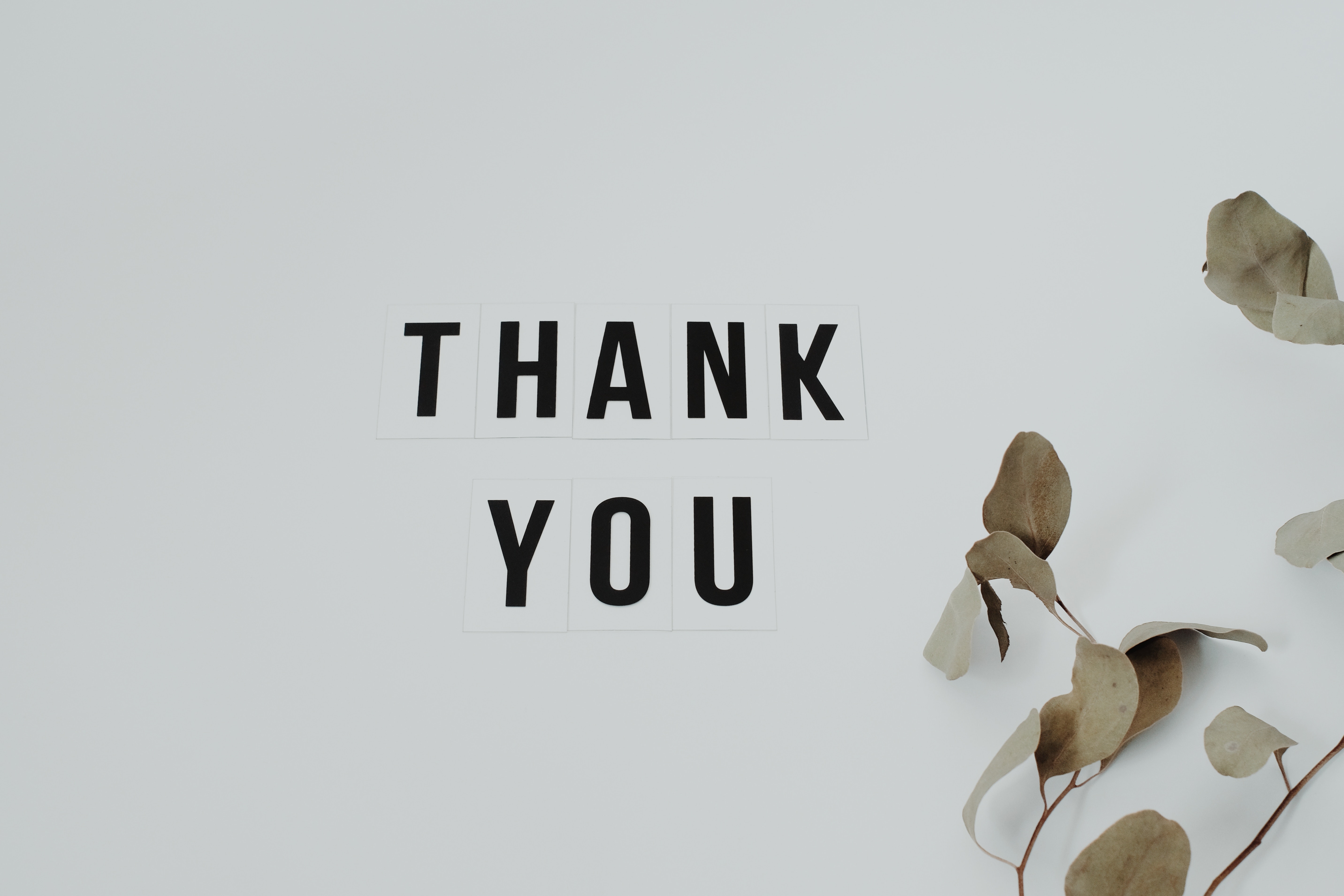 1,Best Thank You Image · 100% Free Downloads