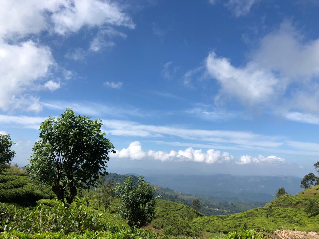 Hill country of mother Sri