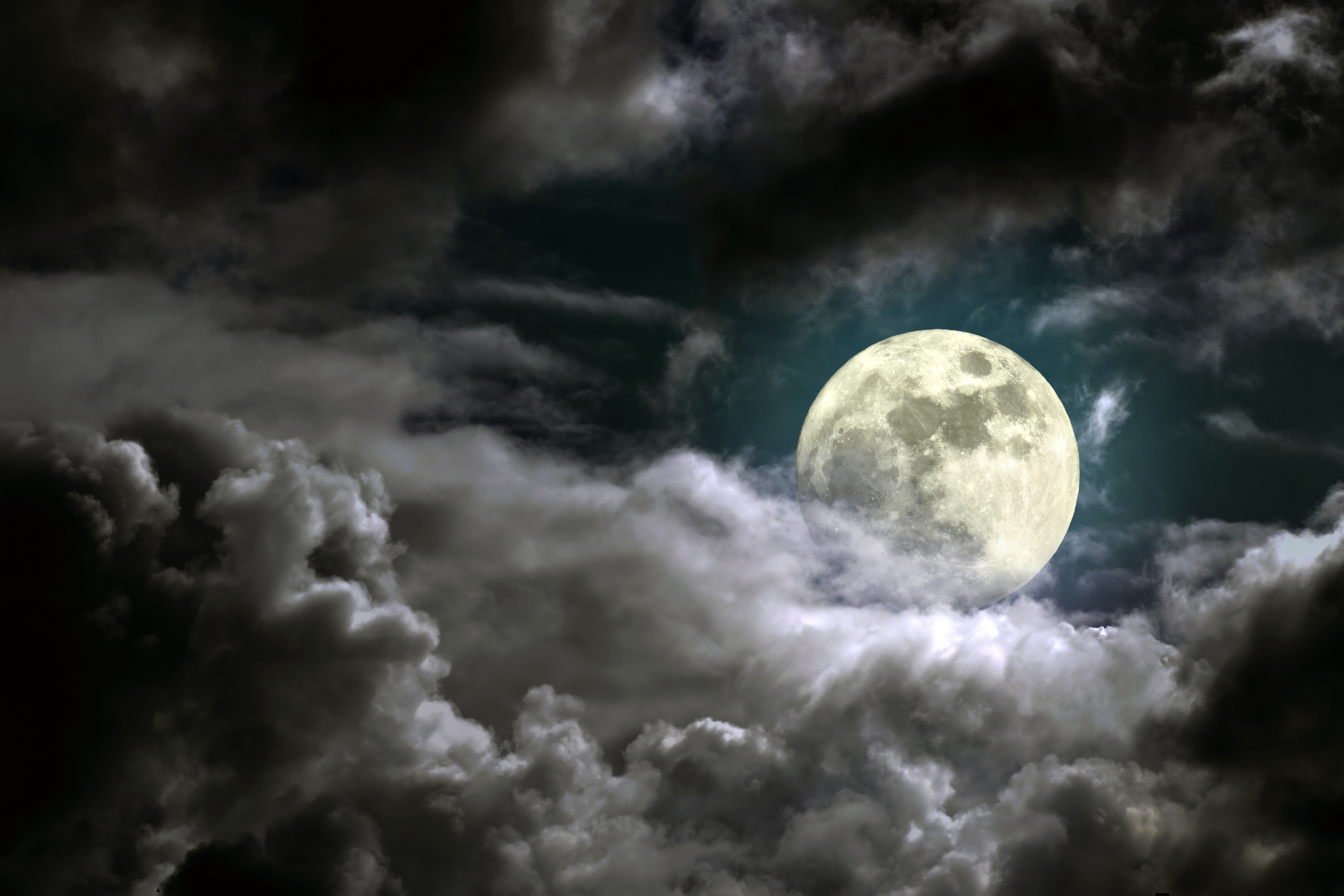 Wallpaper Full Moon in The Sky, Background Free Image