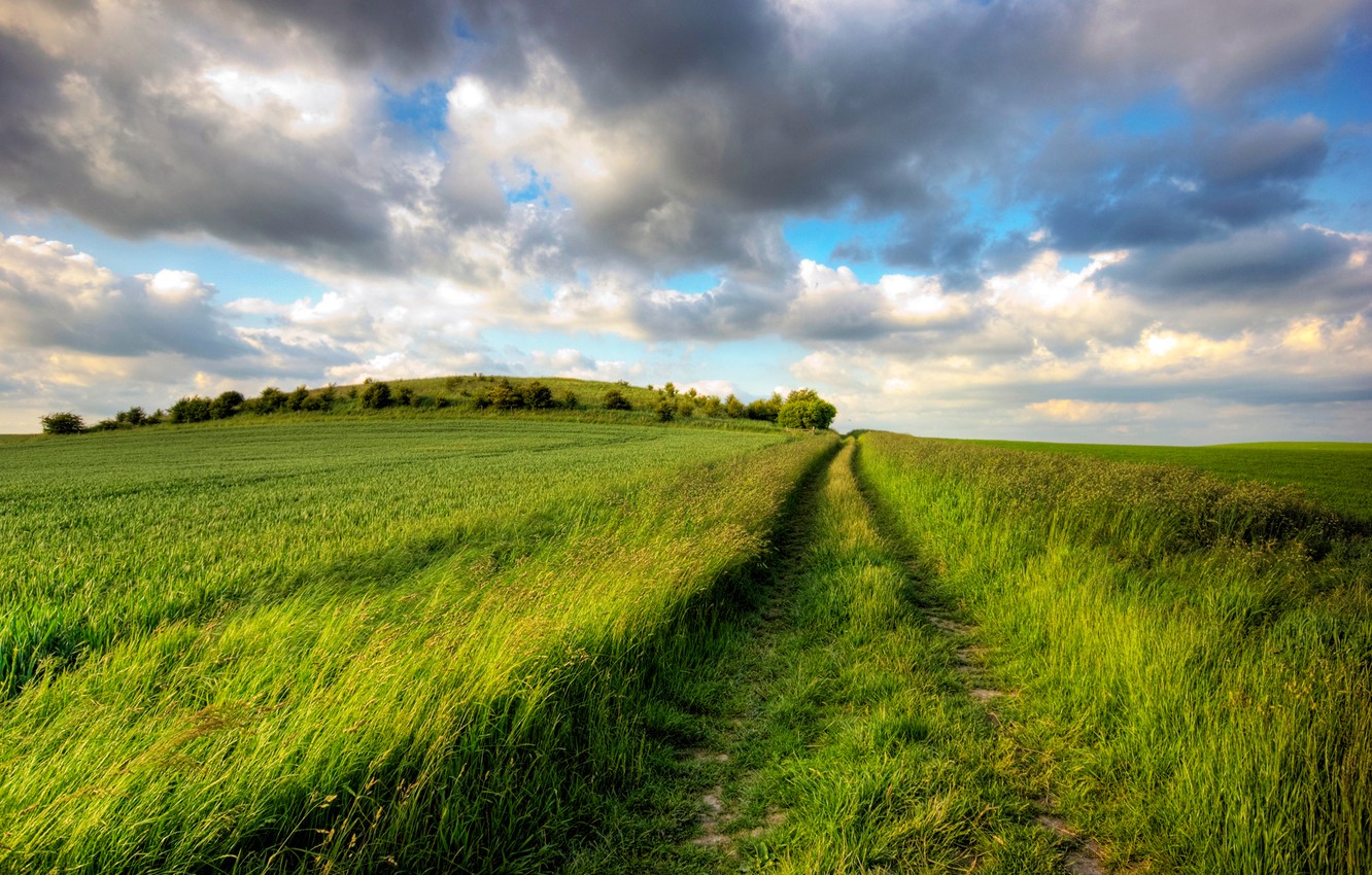Wallpaper road, greens, field, summer, the sky, the sun, clouds, joy, trail, dal, plain, day, space, grass image for desktop, section пейзажи