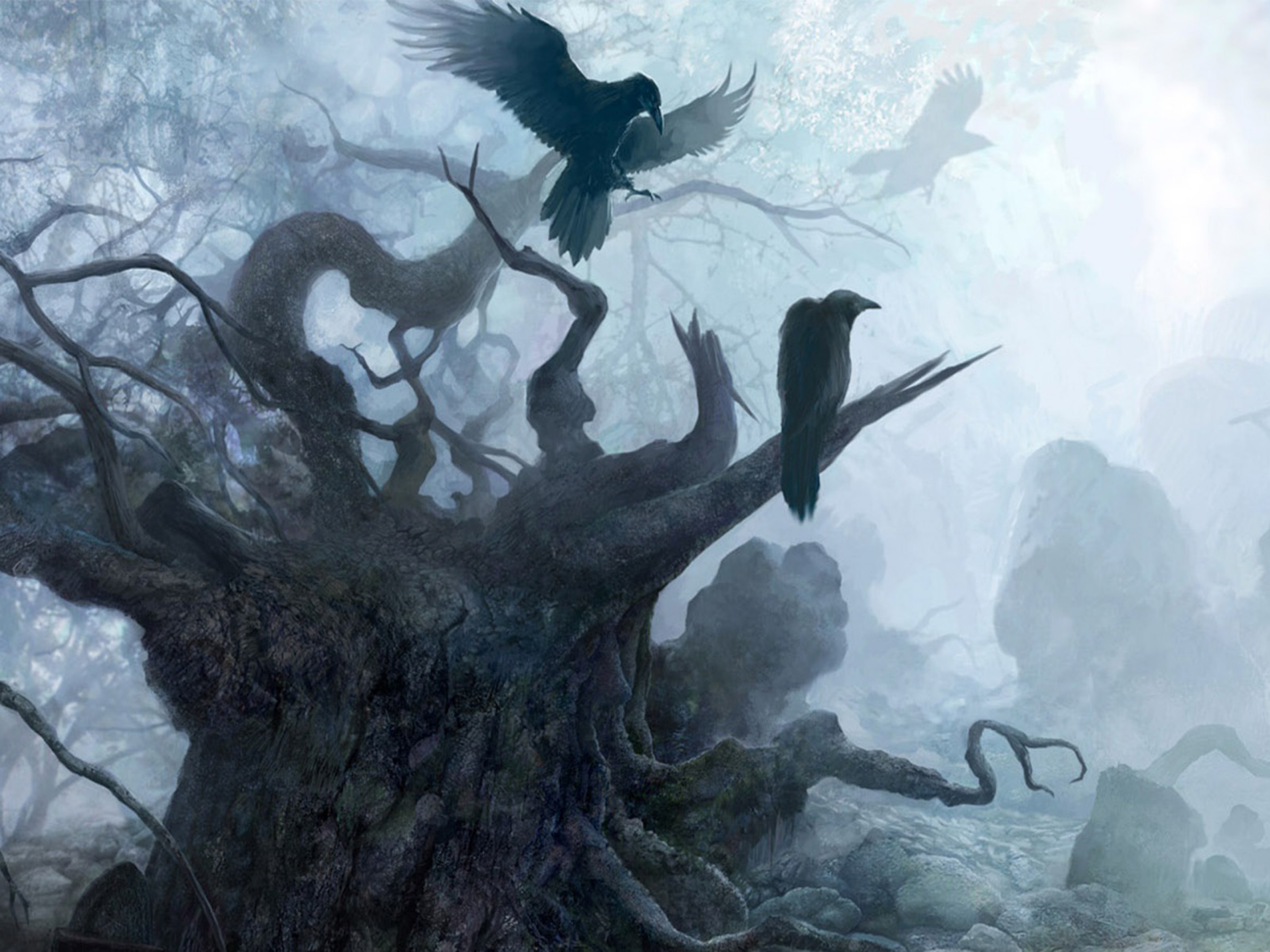 Wallpaper, 2560x1920 px, dark, death, fantasy, Gothic, Halloween, raven, the, witcher 2560x1920
