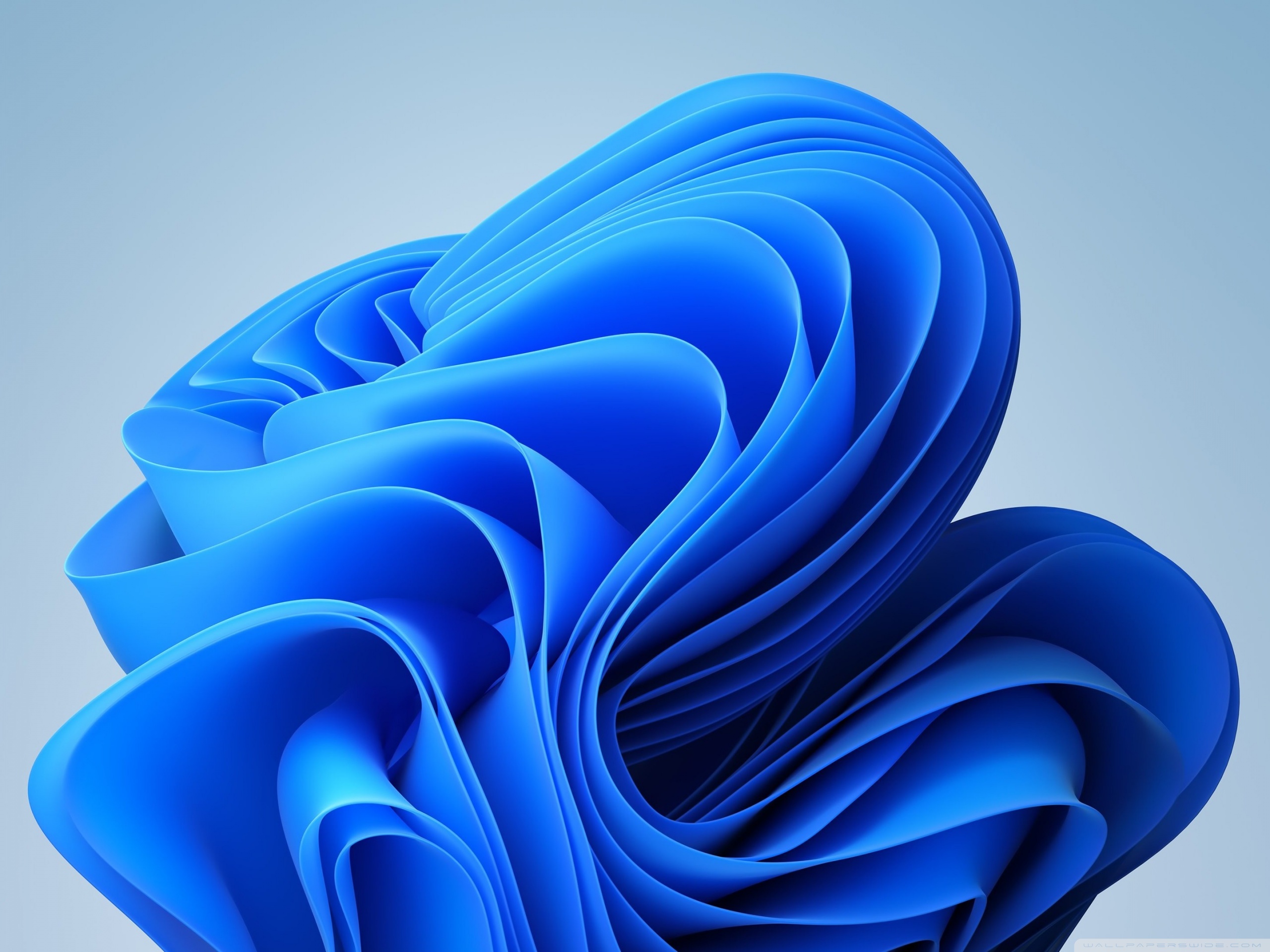 Windows 11 Ultra HD Desktop Background Wallpaper for 4K UHD TV, Widescreen & UltraWide Desktop & Laptop, Multi Display, Dual Monitor