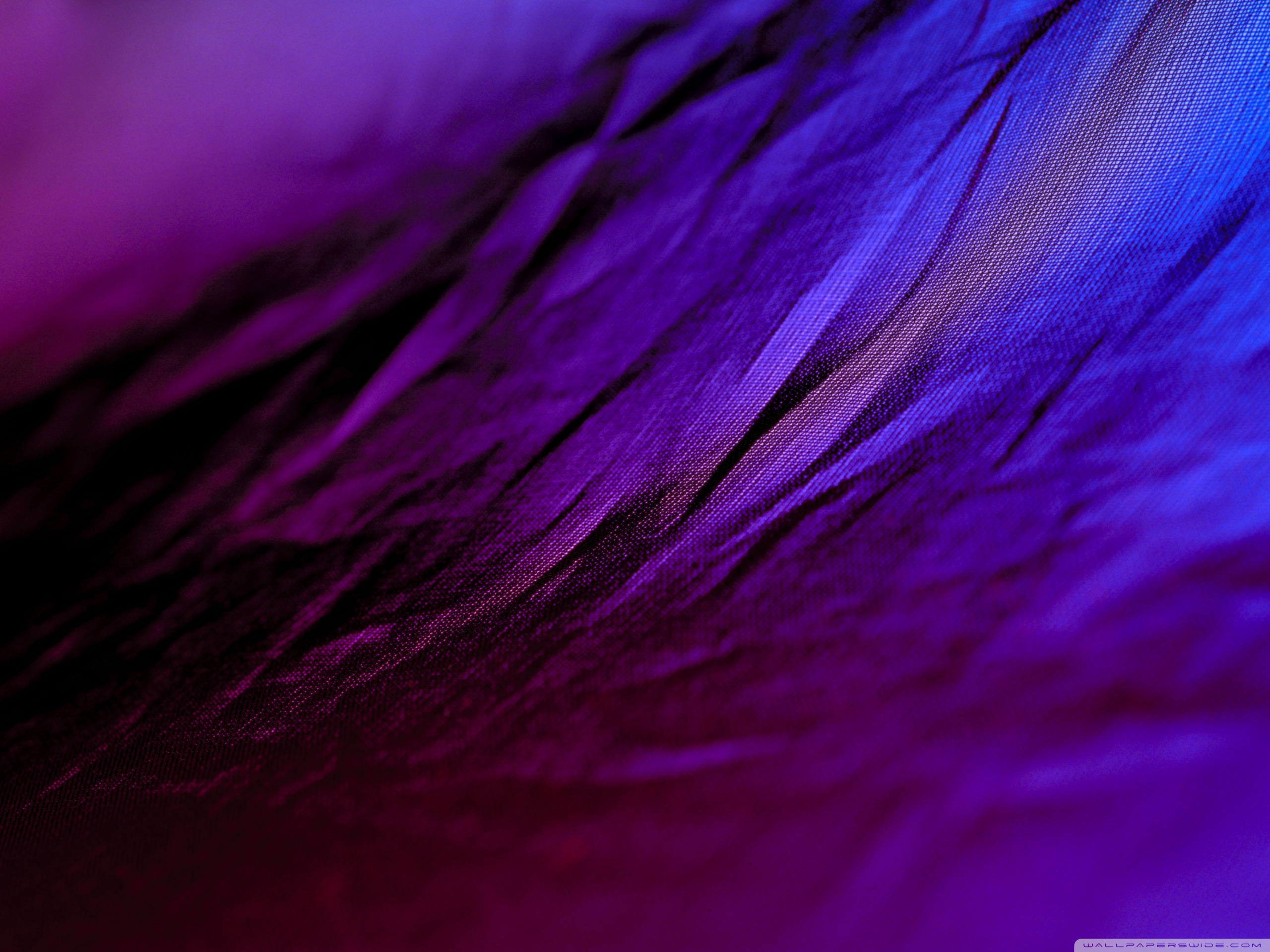 Purple Cloth Ultra HD Desktop Background Wallpaper for 4K UHD TV, Multi Display, Dual Monitor, Tablet