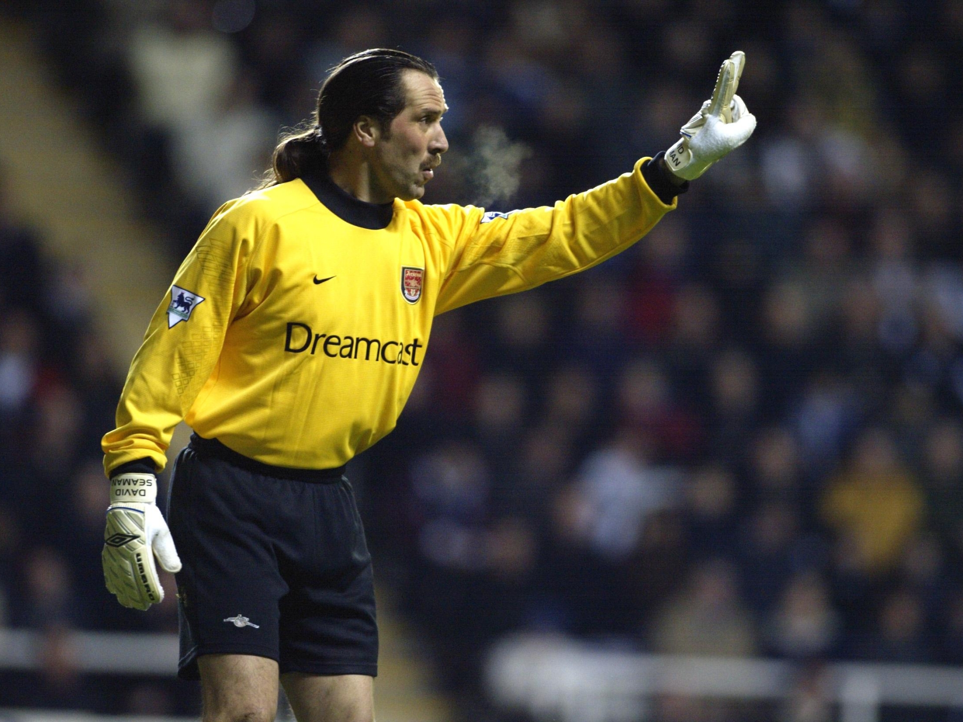 Arsenal legend David Seaman explains why he will support bitter rivals Tottenham tonight