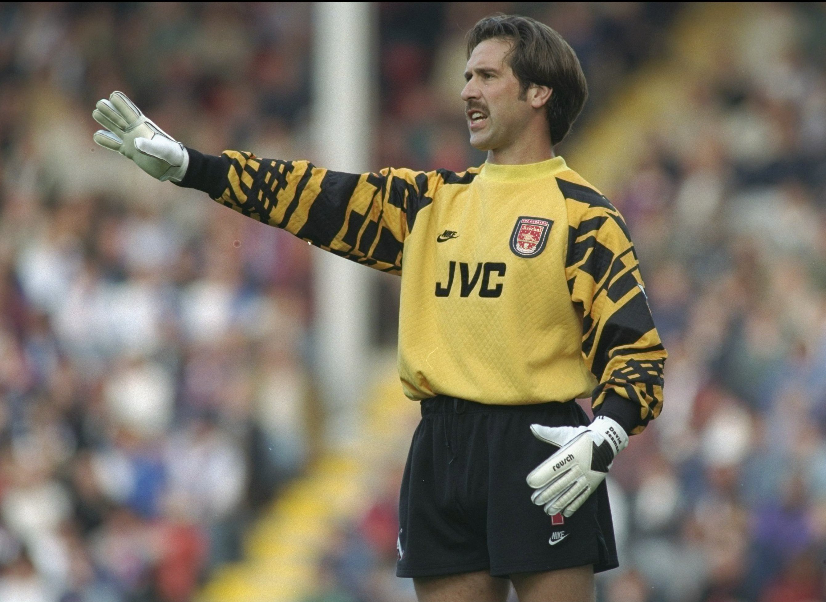 How Old Is David Seaman And Who's Ex Goalkeeper's Dancing On Ice Star Wife Frankie Poultney?