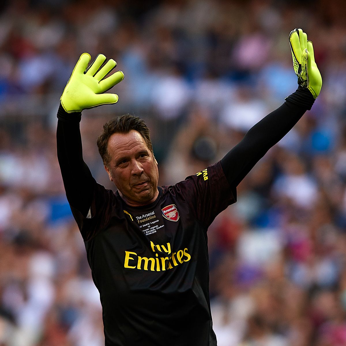 Exclusive: David Seaman tells Stan Kroenke's board what must be done to halt Arsenal decline