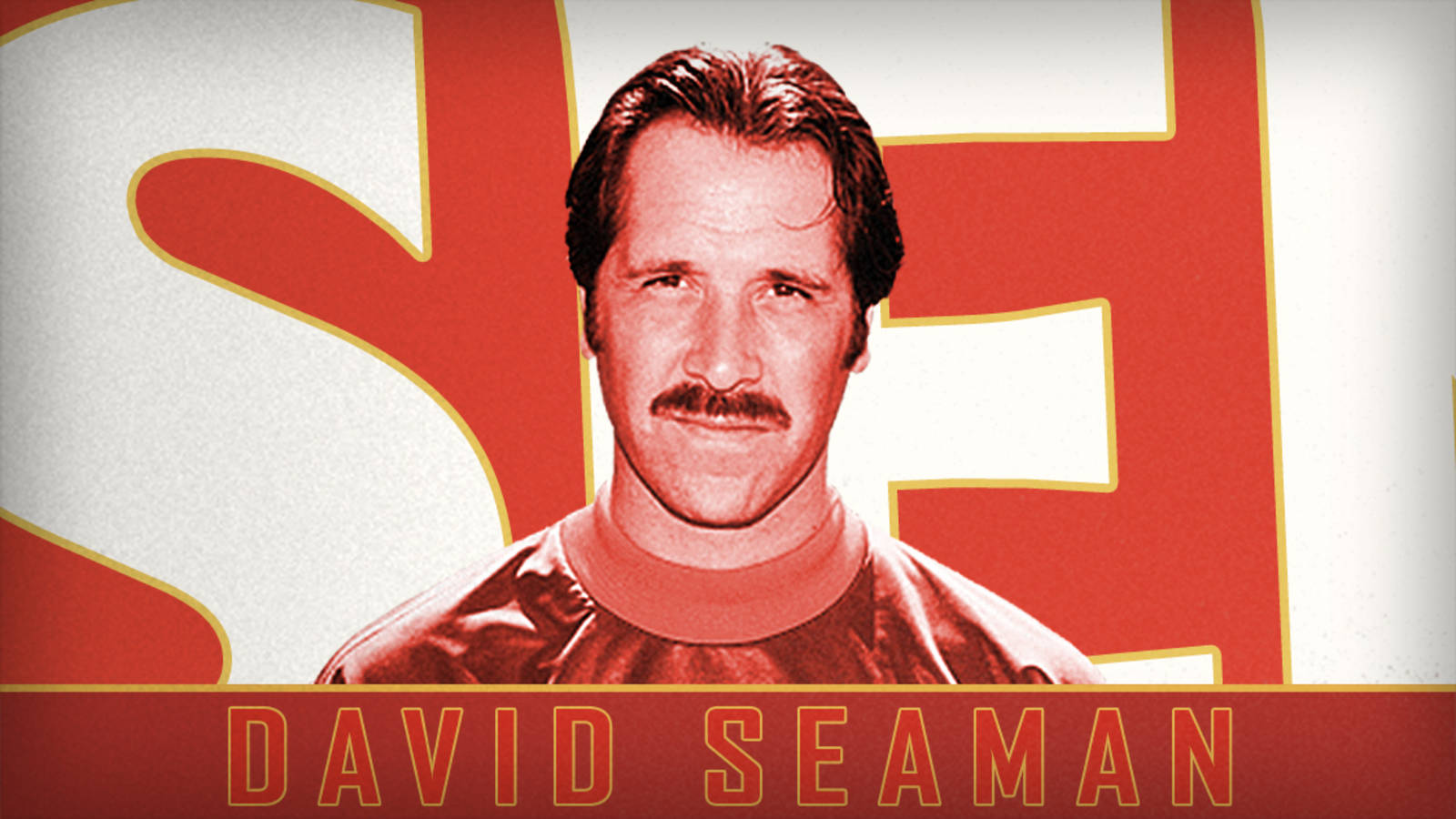 Heroes Together: David Seaman