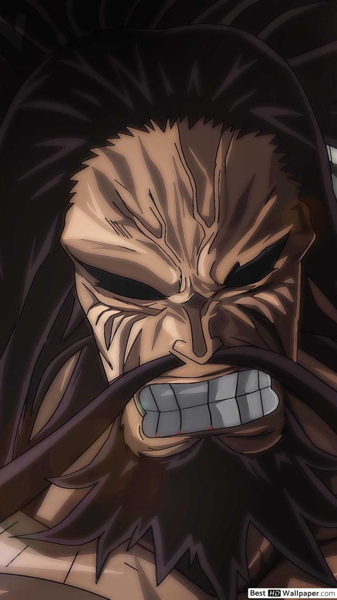 Trending Kaido One Piece Wallpaper Top Free Kaido One Piece HD. One piece wallpaper iphone, Kaido one piece, Anime