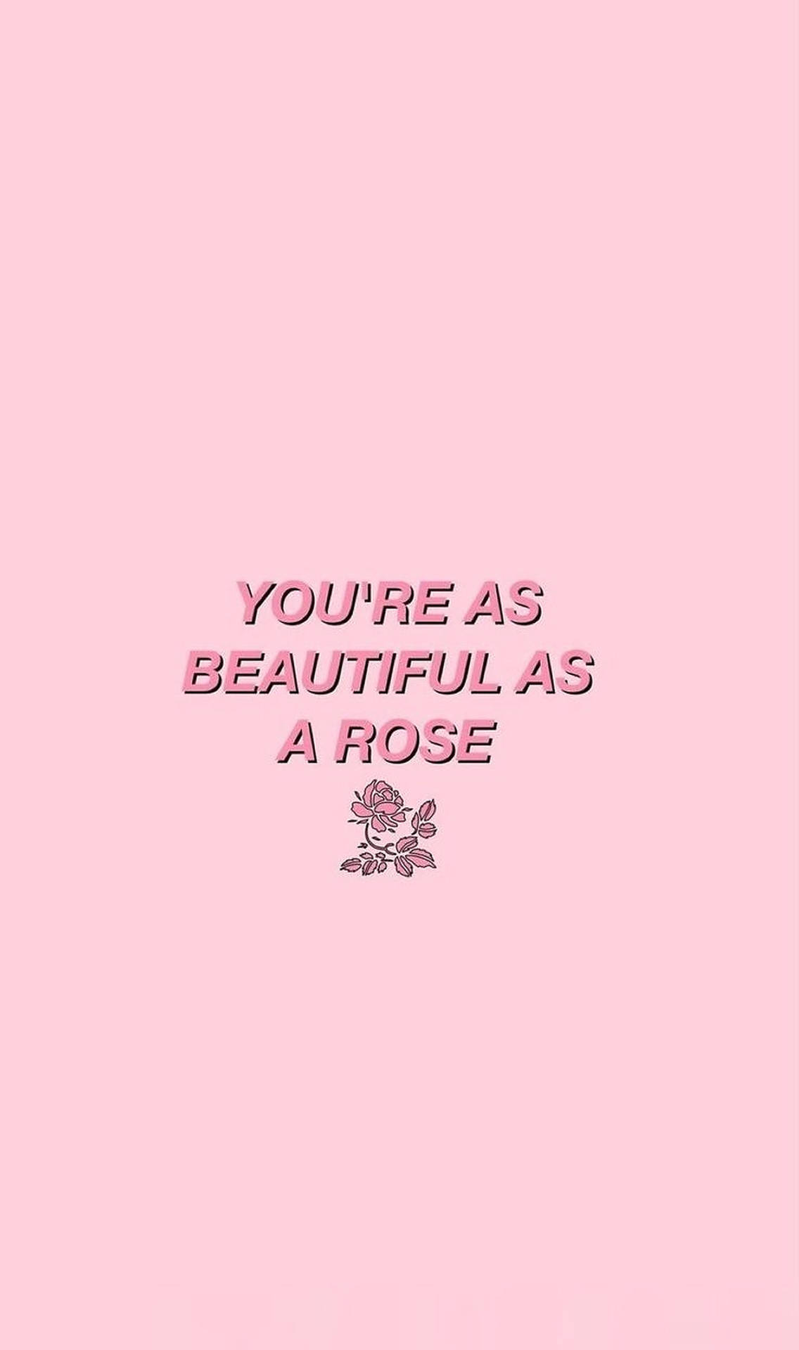 Download Pink Rose Aesthetic Words Wallpaper