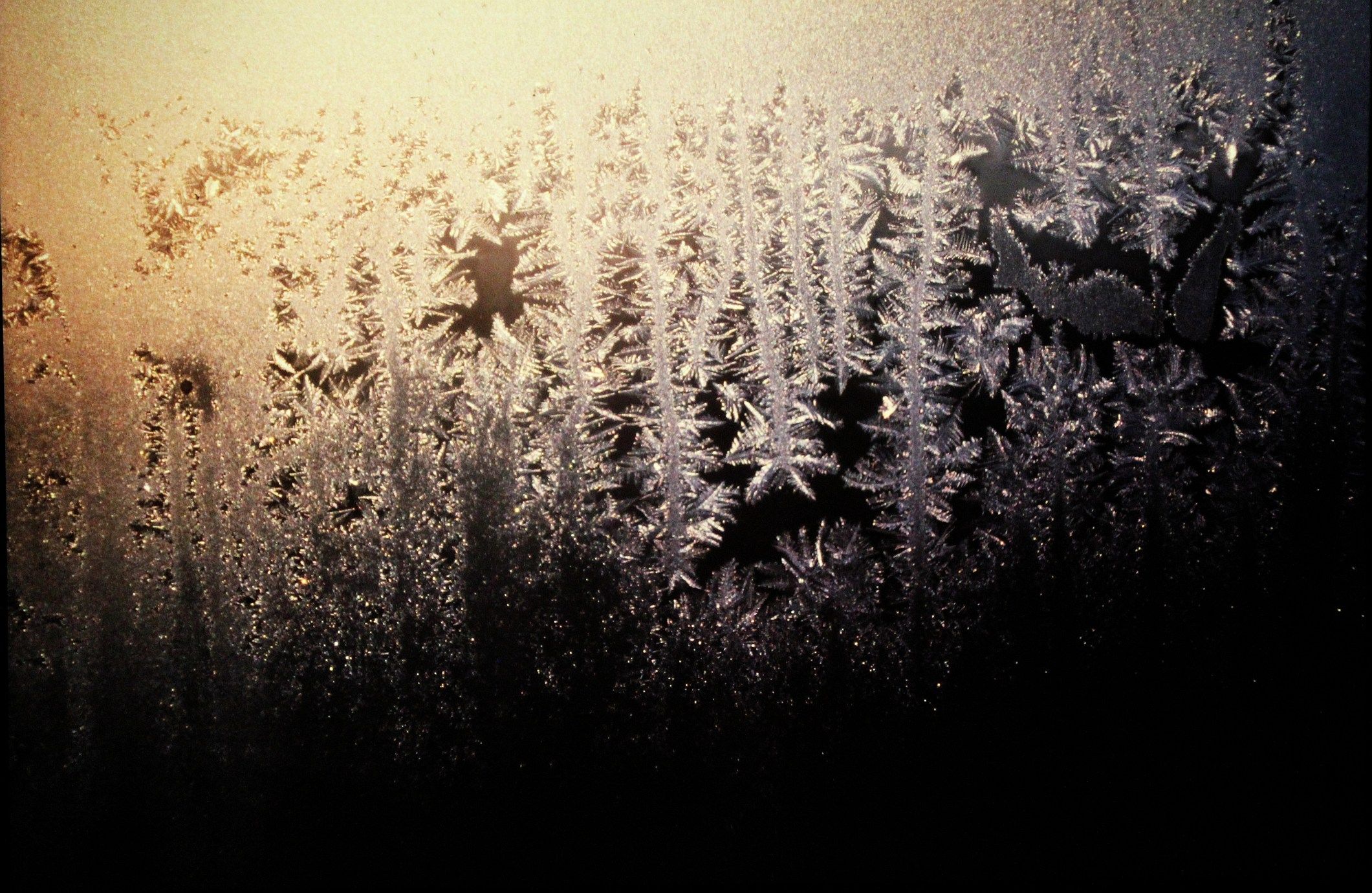 Experimental Wallpaper