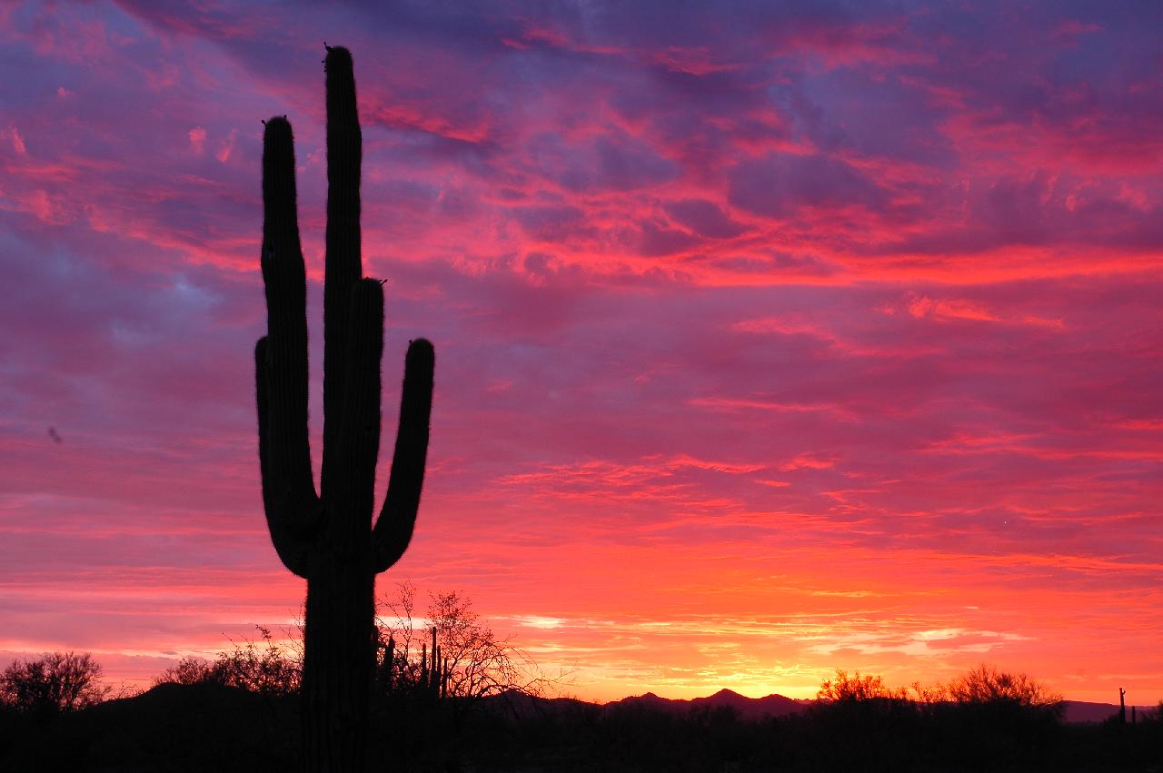 Free download Arizona Sunset Picture [1280x851] for your Desktop, Mobile & Tablet. Explore Arizona Sunset Wallpaper. Sunset Background, Arizona Background, Sunset Wallpaper