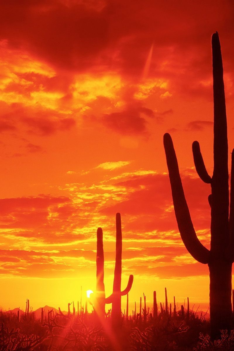Arizona Desert. Nature, Aesthetic wallpaper, Beautiful places
