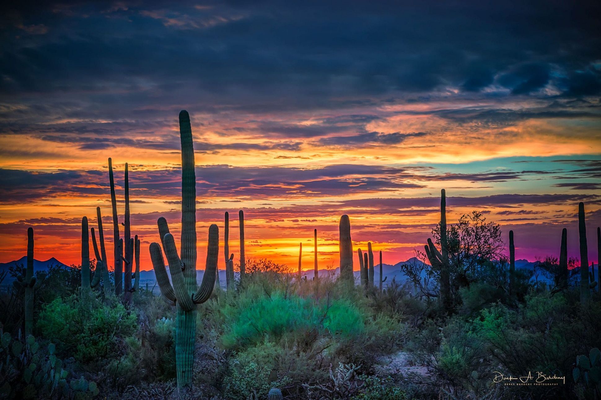 Tucson Sunset Wallpaper