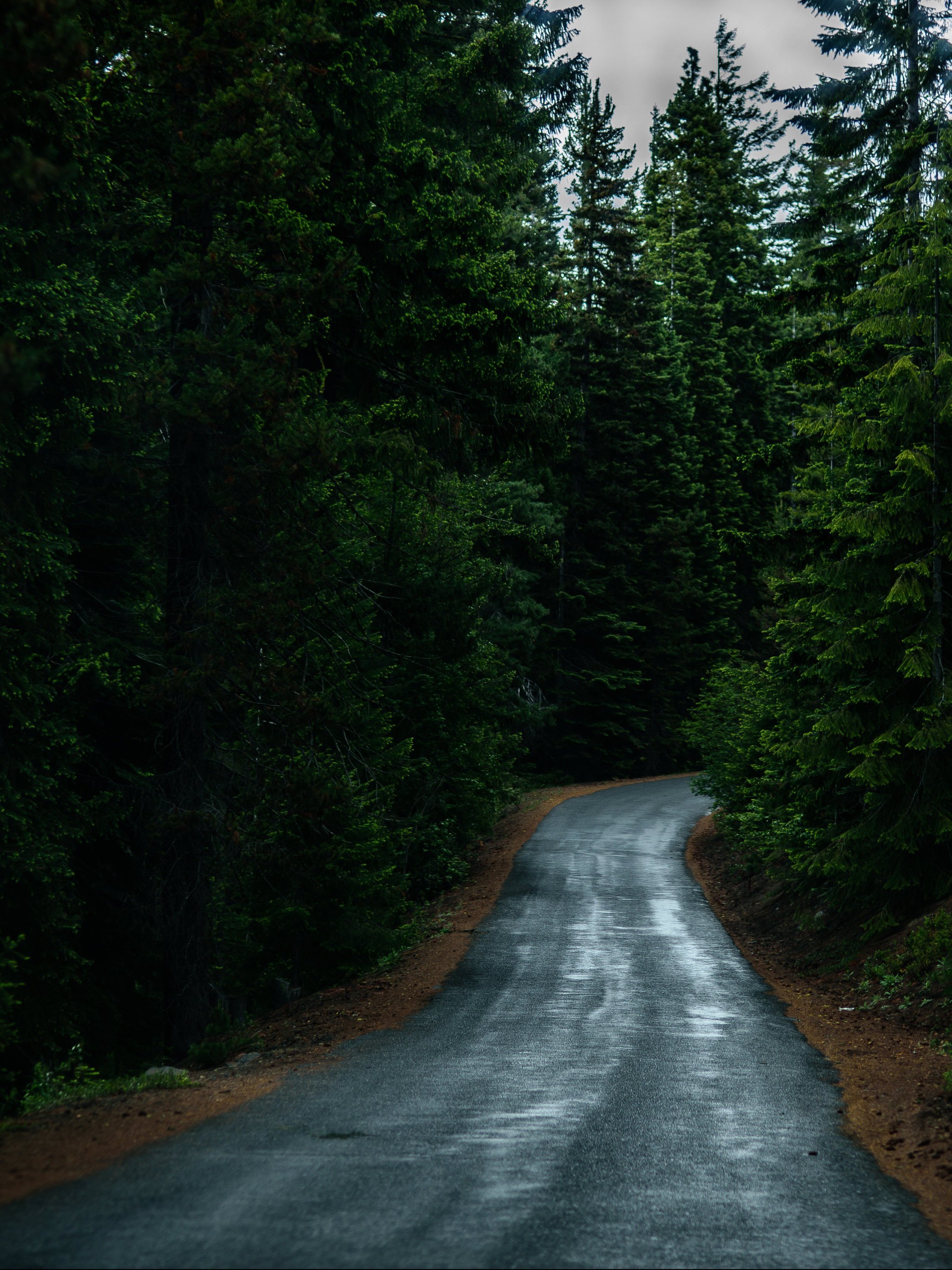 Road Through Forest Wallpaper, Android & Desktop Background
