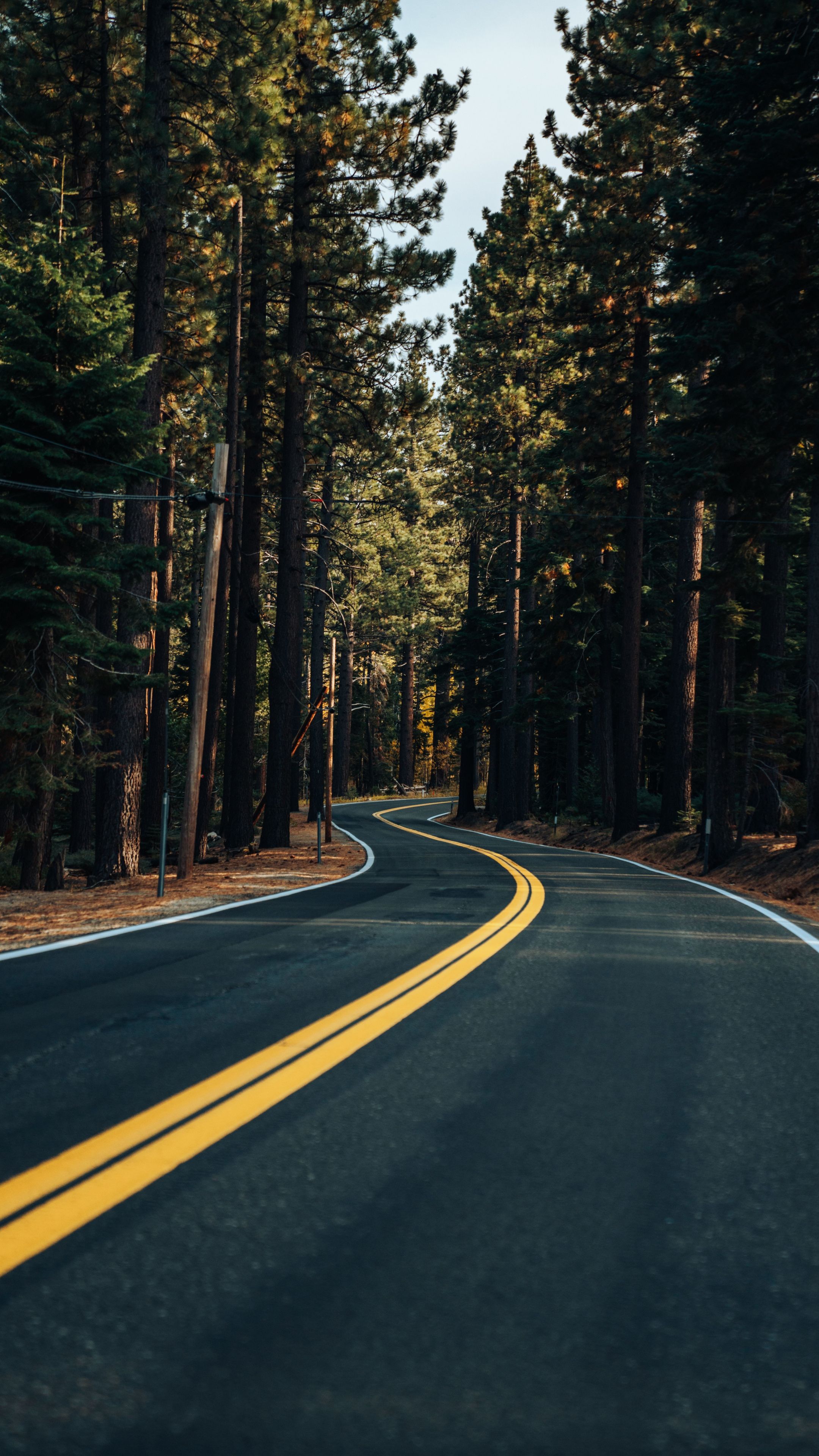 Road, yellow marks, trees, forest wallpaper. Road photography, Landscape photography nature, Forest photo