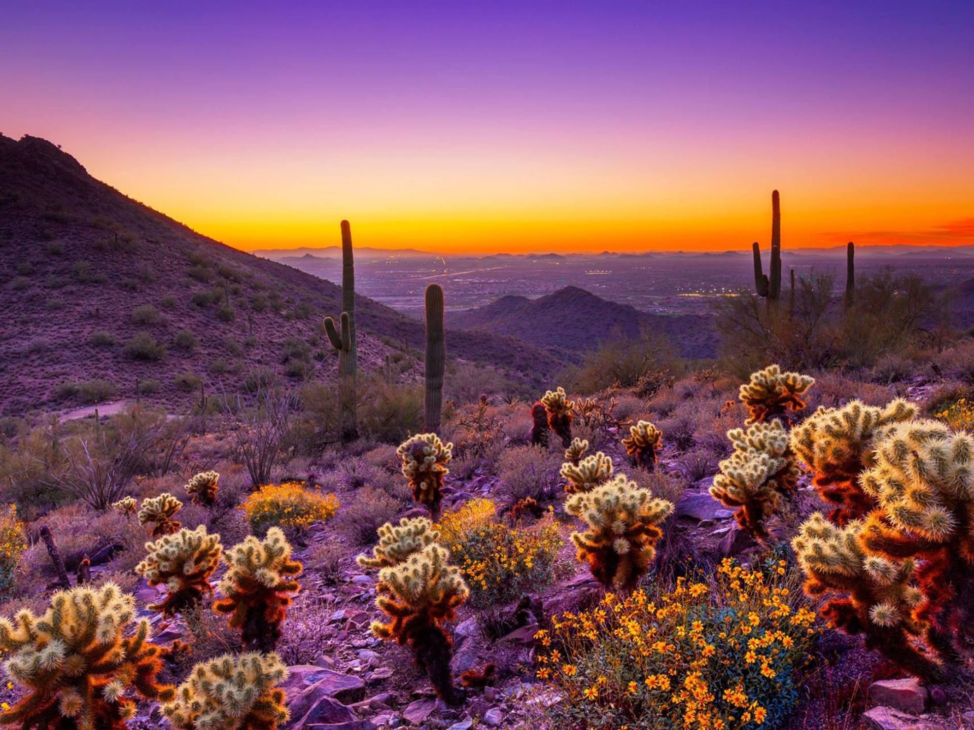 Arizona Photos, Download The BEST Free Arizona Stock Photos & HD Images