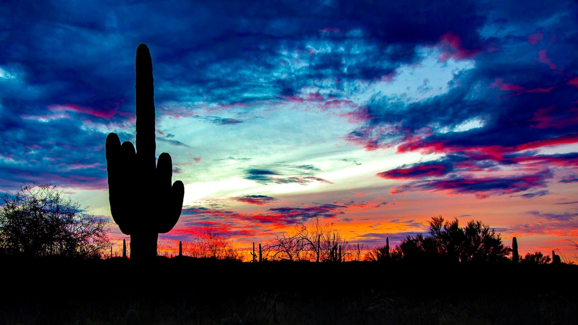 Saguaro National Park, clouds, landscape, nature, USA, sky, Arizona, sunlight Gallery HD Wallpaper
