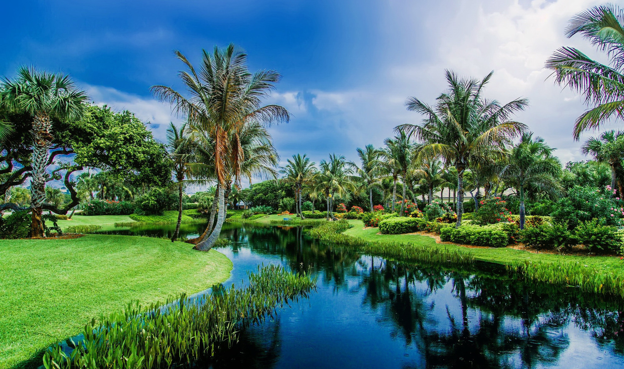 Best Nature Wallpaper