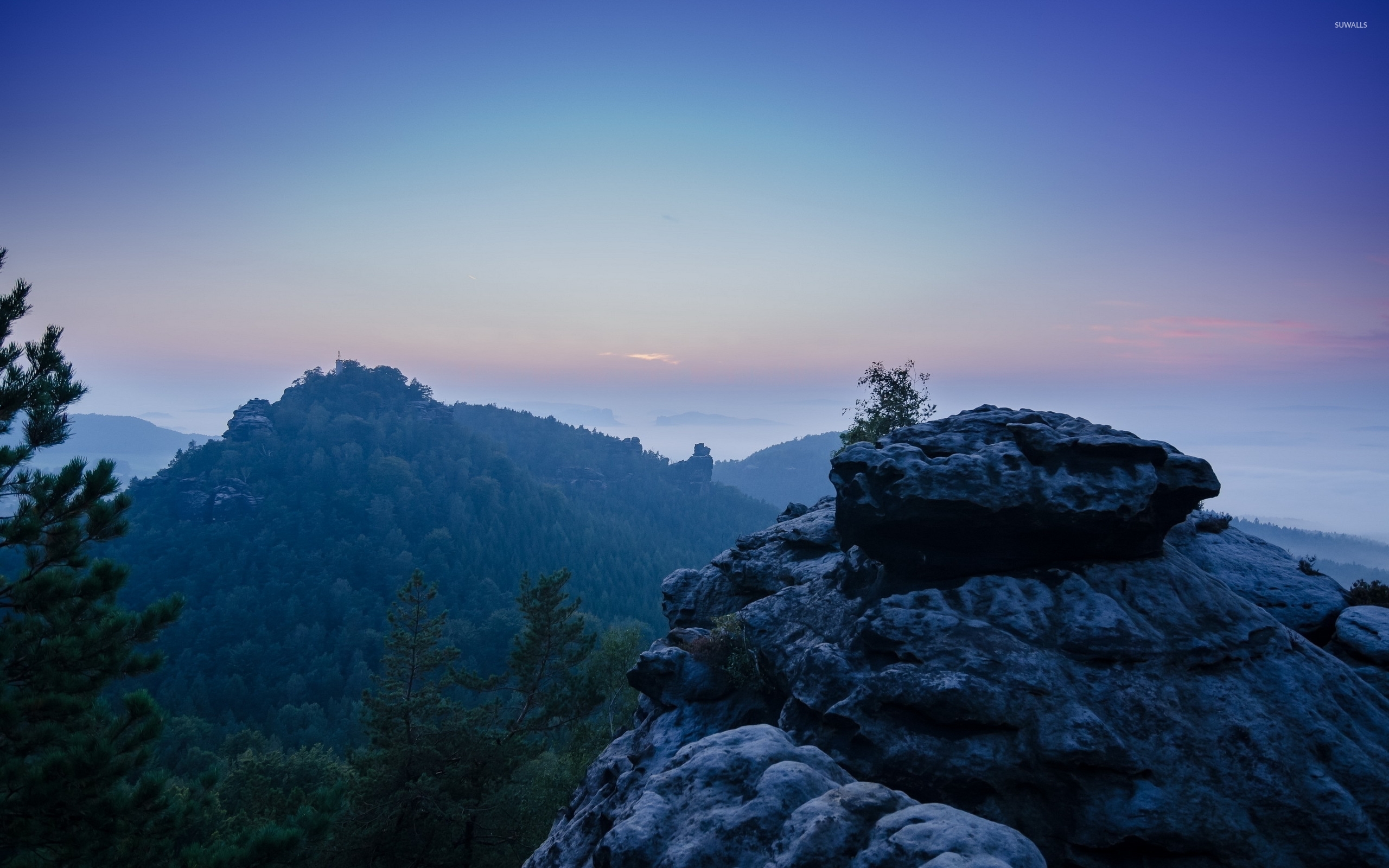 Amazing view of the forest mountain at sunset wallpaper wallpaper