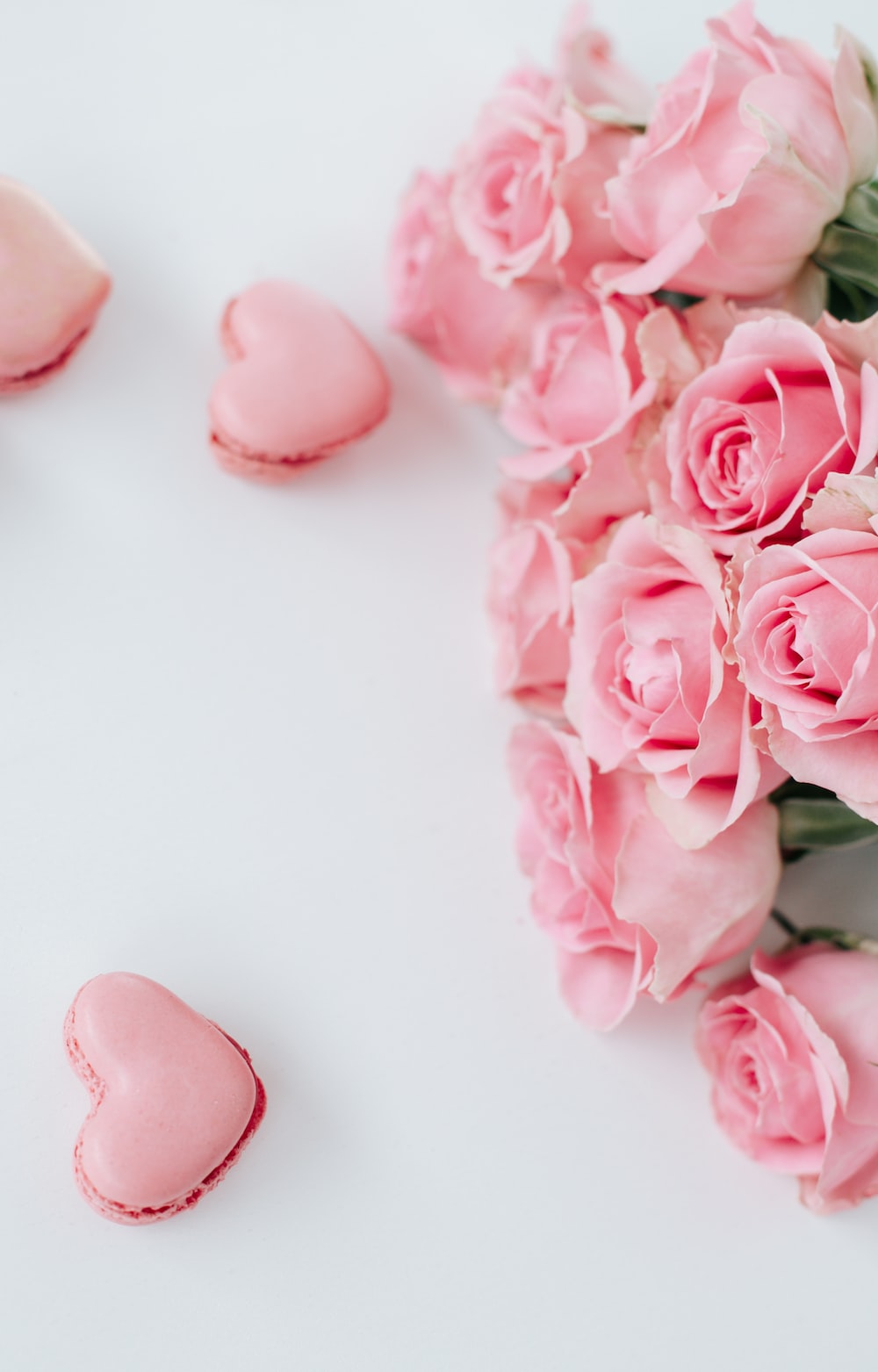 Pink Flowers Picture [HD]. Download Free Image
