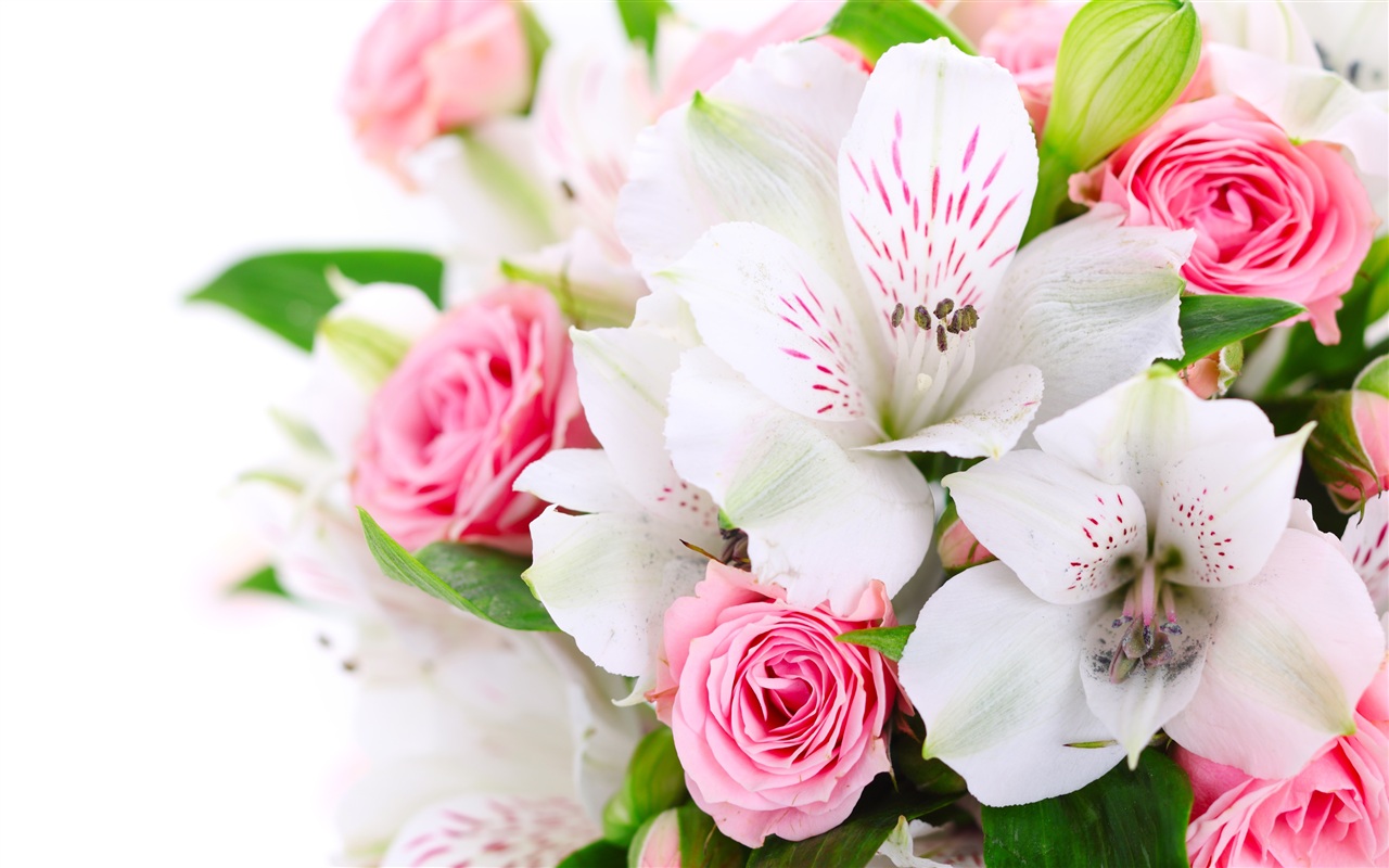 Wallpaper A bouquet flowers, pink roses, white orchids 2560x1600 HD Picture, Image