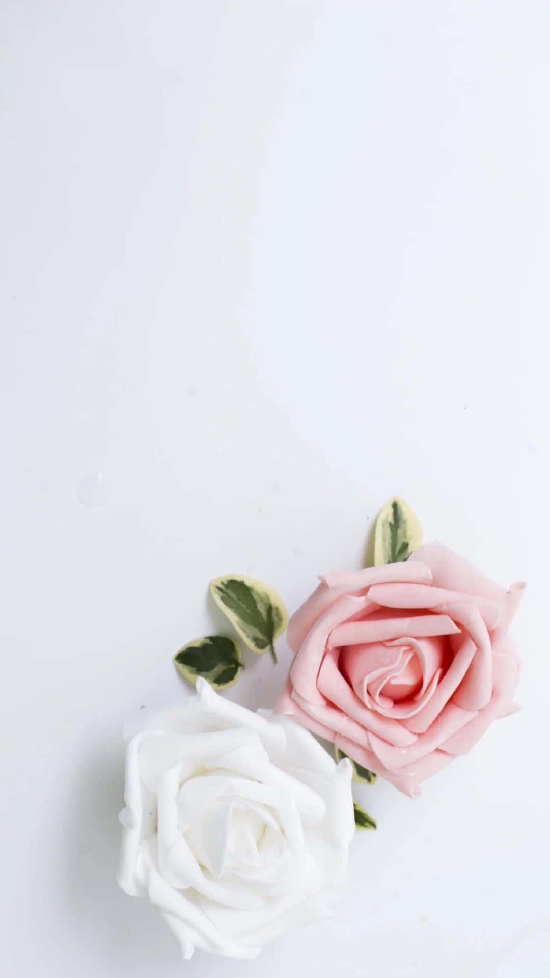 Download Pink And White Aesthetic Rose Flowers Wallpaper
