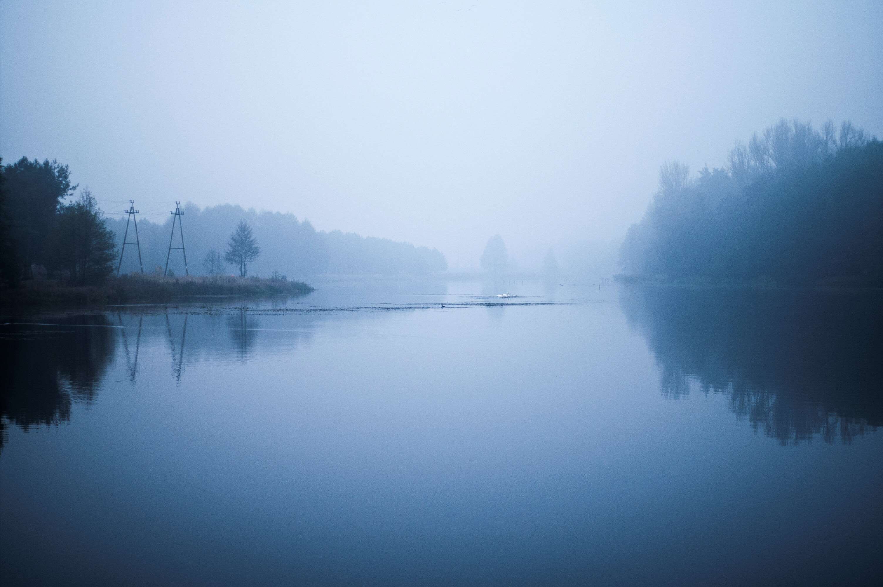 blue, fog, foggy, forest, lake, river, riverside, water Gallery HD Wallpaper