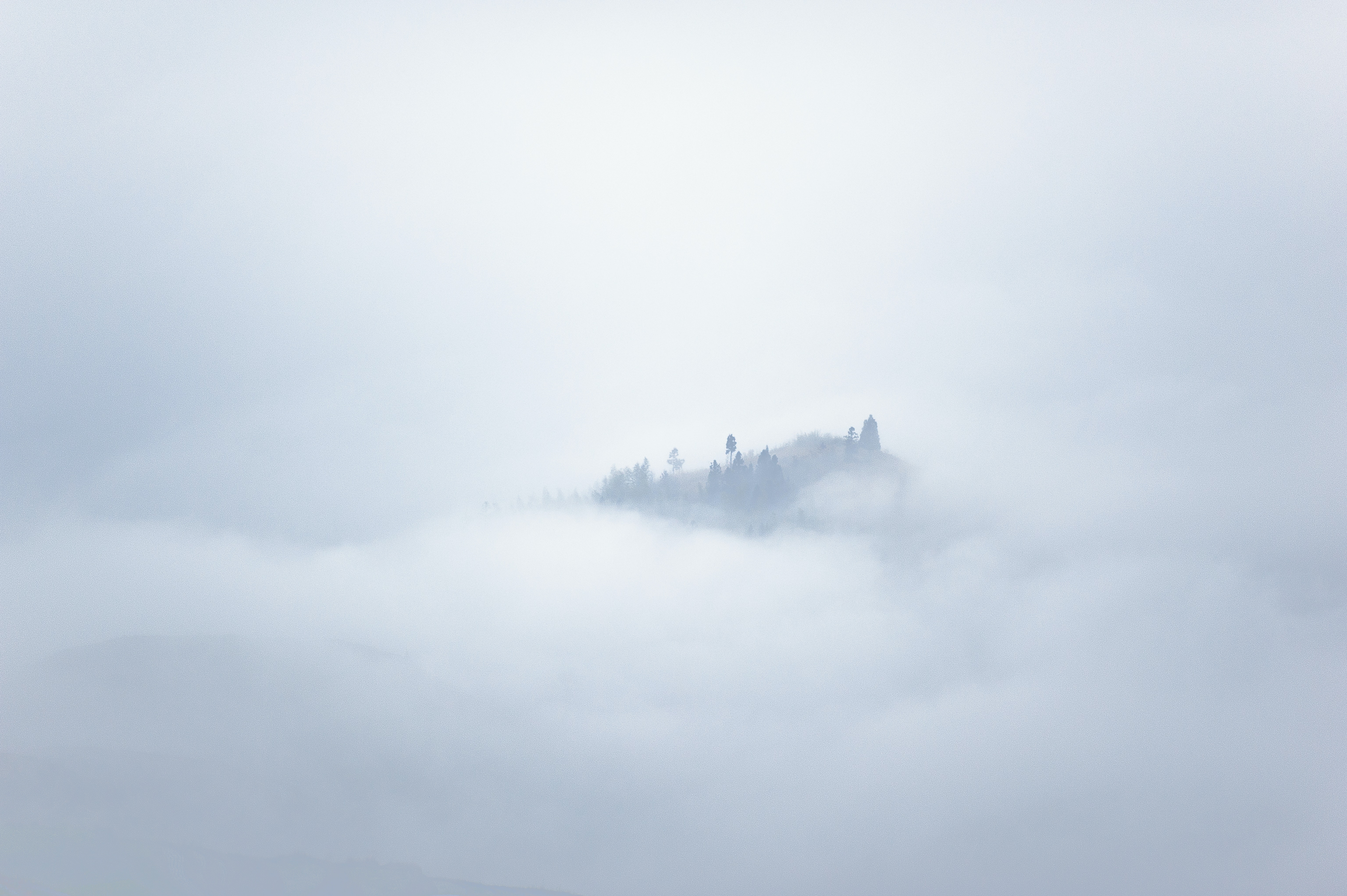 Fog Photo, Download The BEST Free Fog & HD Image