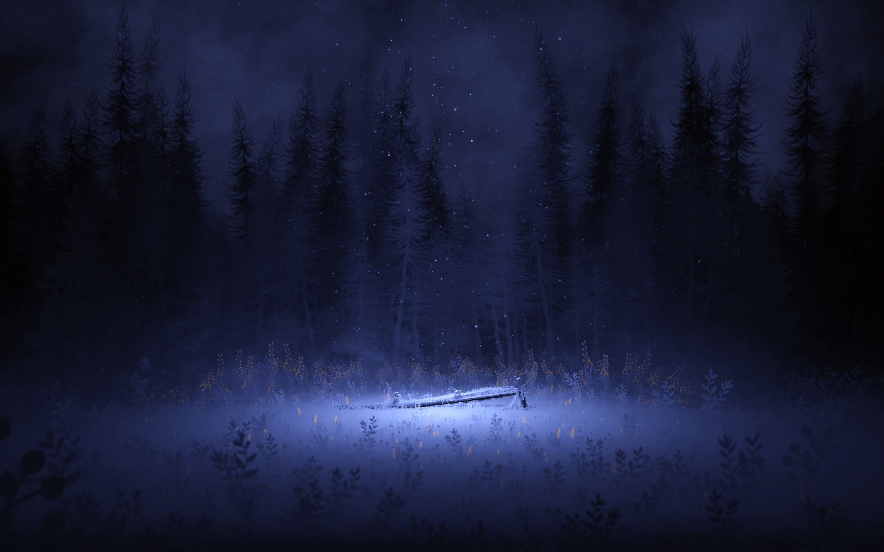 Wallpaper 4K, Night, Forest, Winter, Foggy