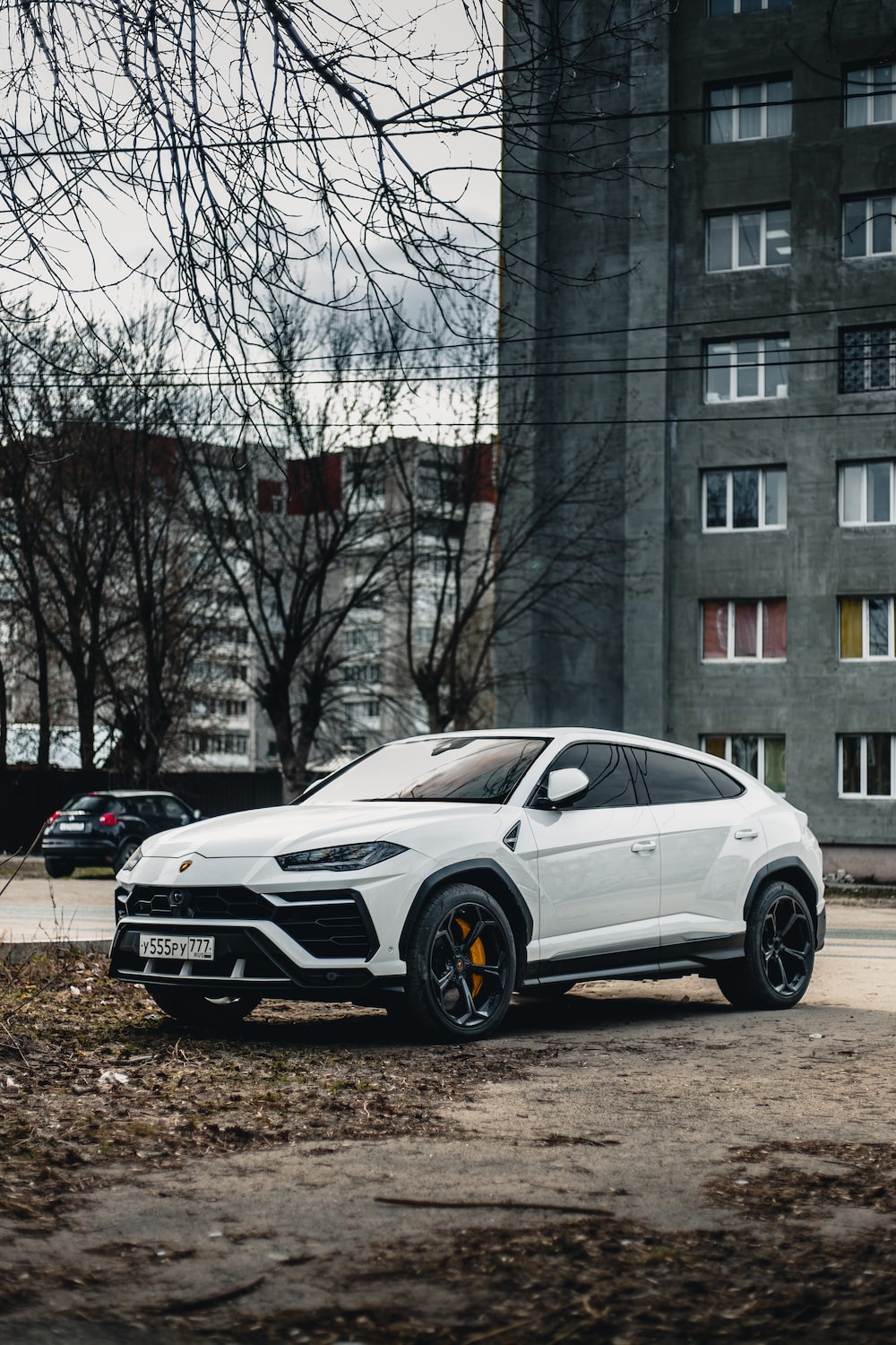 Urus Picture. Download Free Image