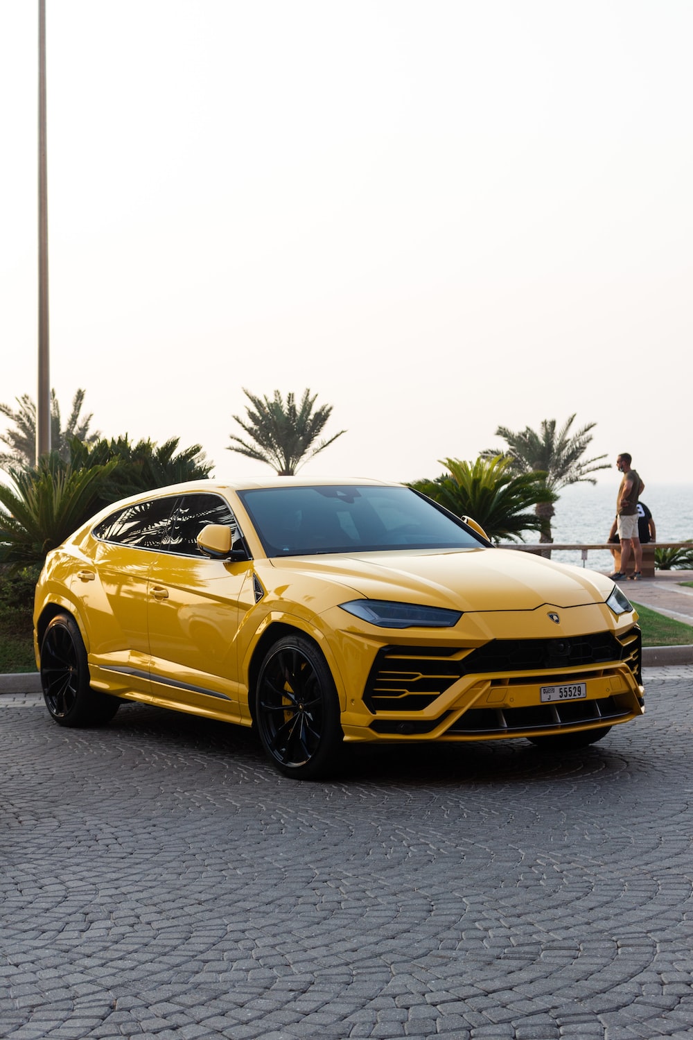 Urus Picture. Download Free Image
