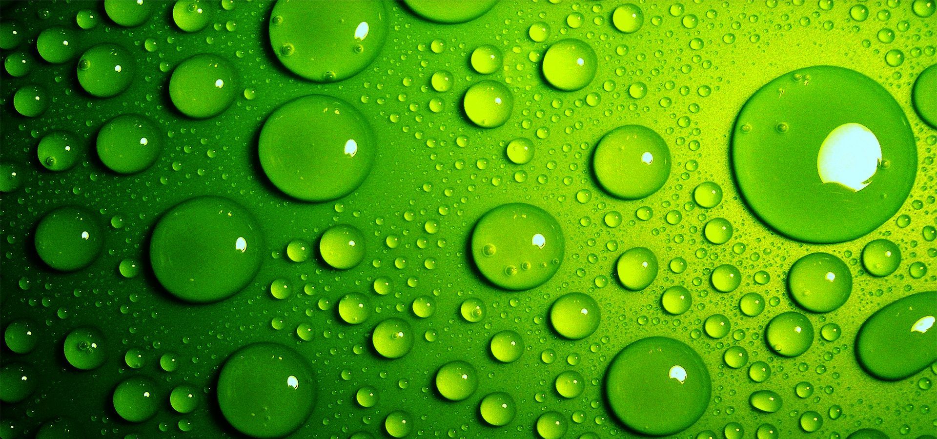 Green Water Wallpaper