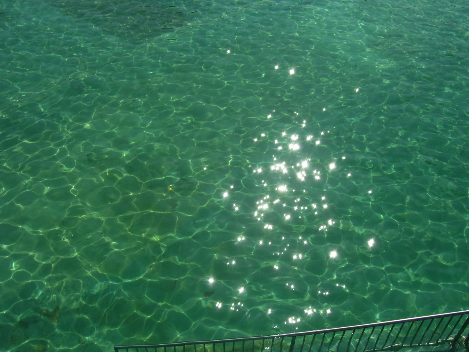 Green Water Wallpaper