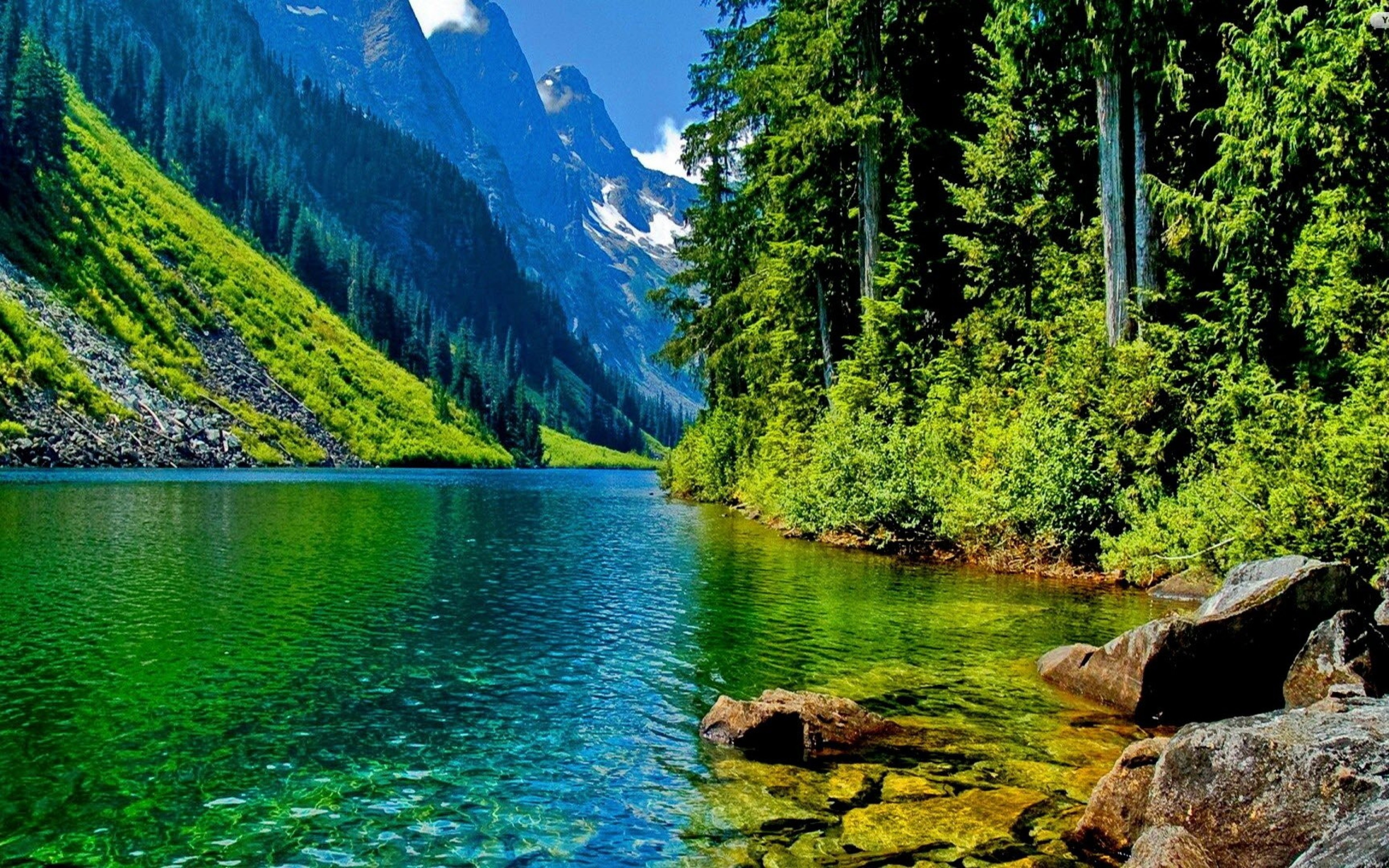 Free download Green water on a wonderful green nature HD wallpaper [5120x3200] for your Desktop, Mobile & Tablet. Explore Green Nature Wallpaper. Green Green Meadow Wallpaper, Green Nature Wallpaper