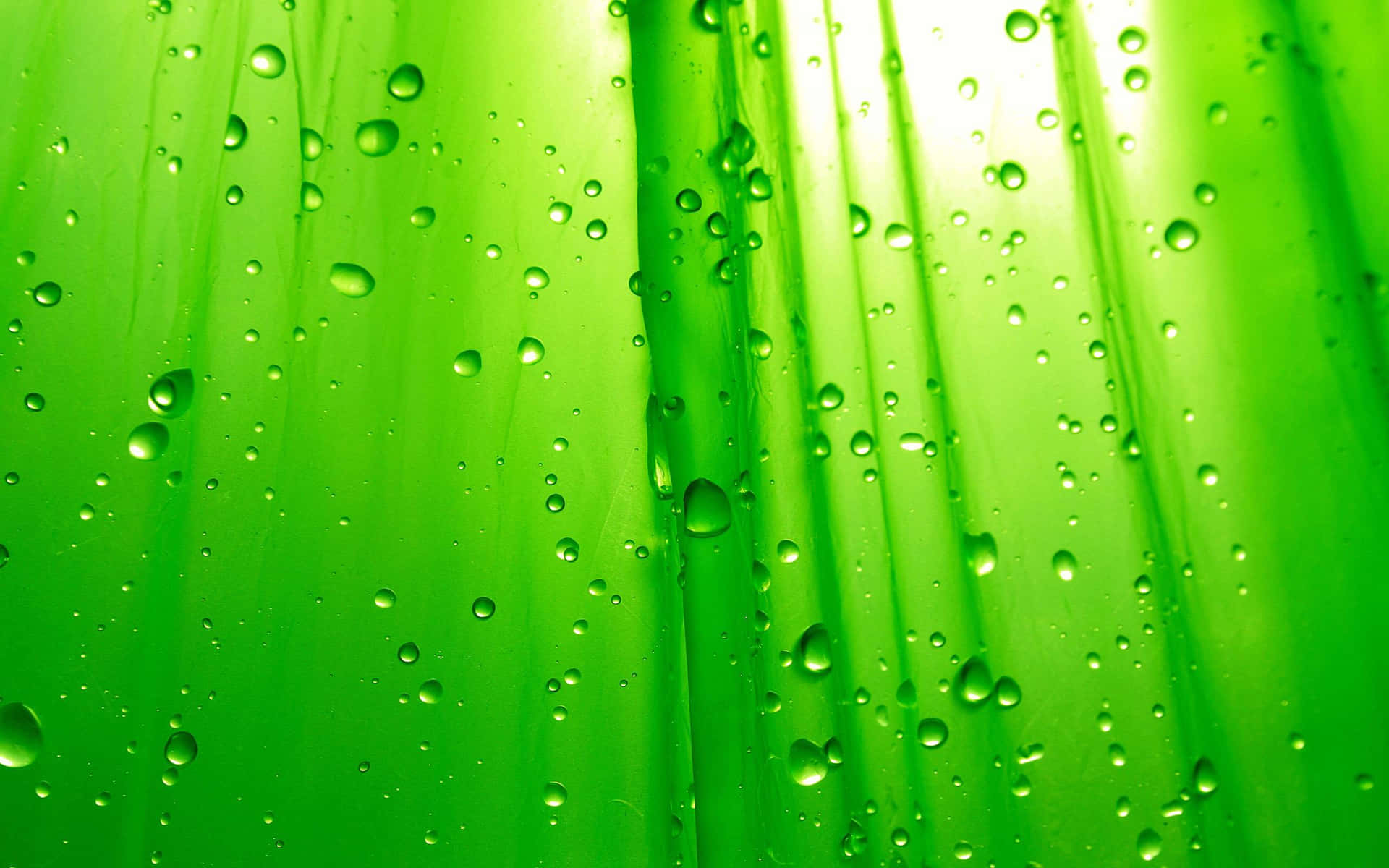 Green Color Background s